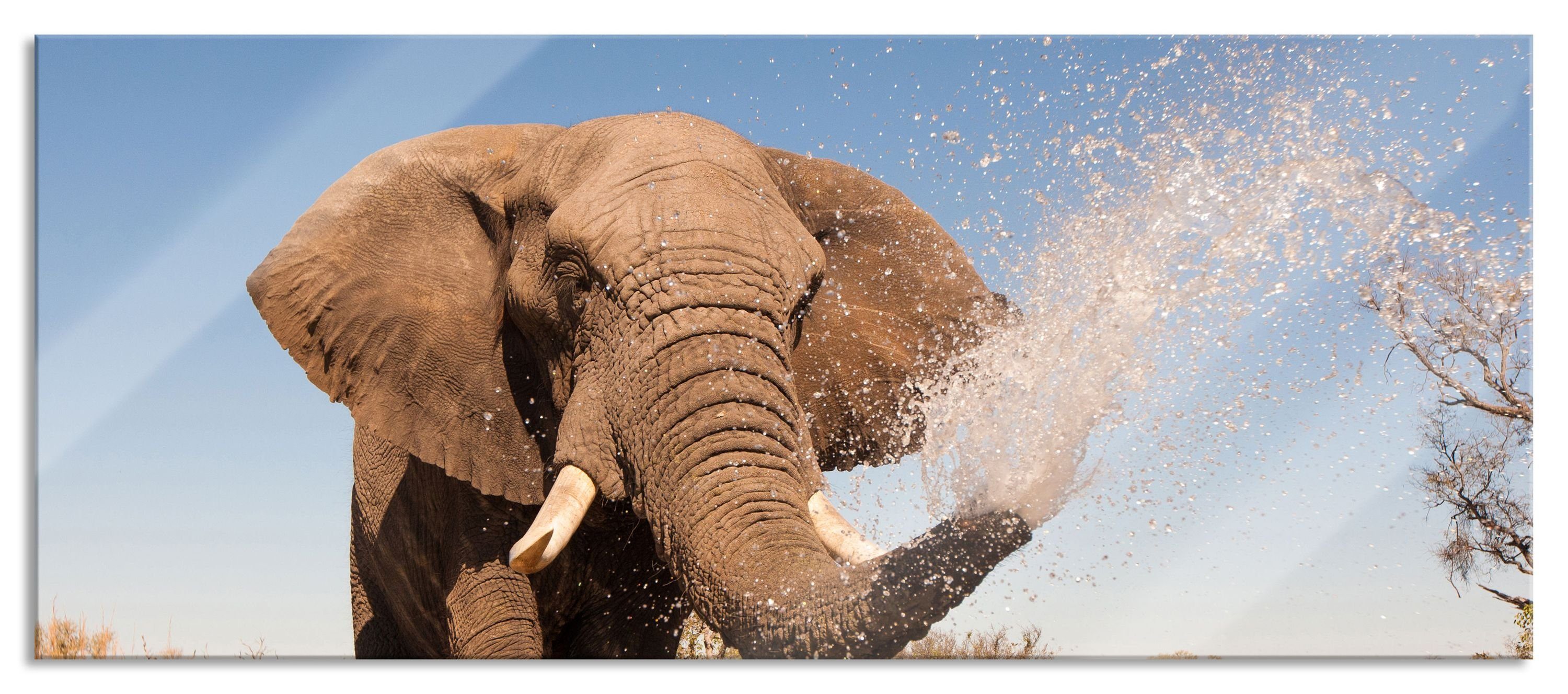 St), mit Abstandshalter mit Elefant Elefant Wasser schöner Glasbild schöner spritzt aus spritzt und Glasbild Aufhängungen Wasser, Pixxprint inkl. (1 Echtglas,