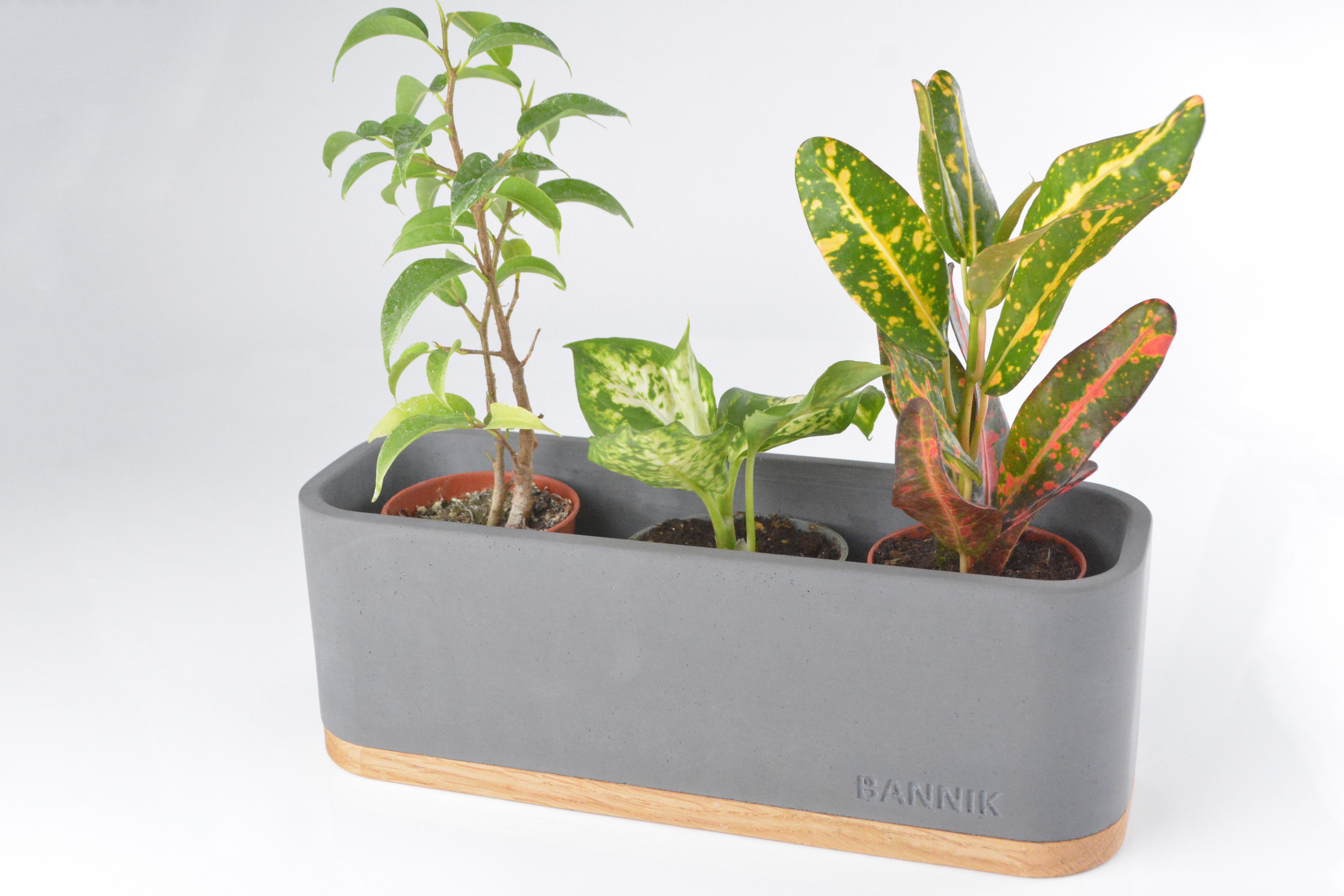 Bannik Blumentopf aus Beton und Holz günstig online kaufen