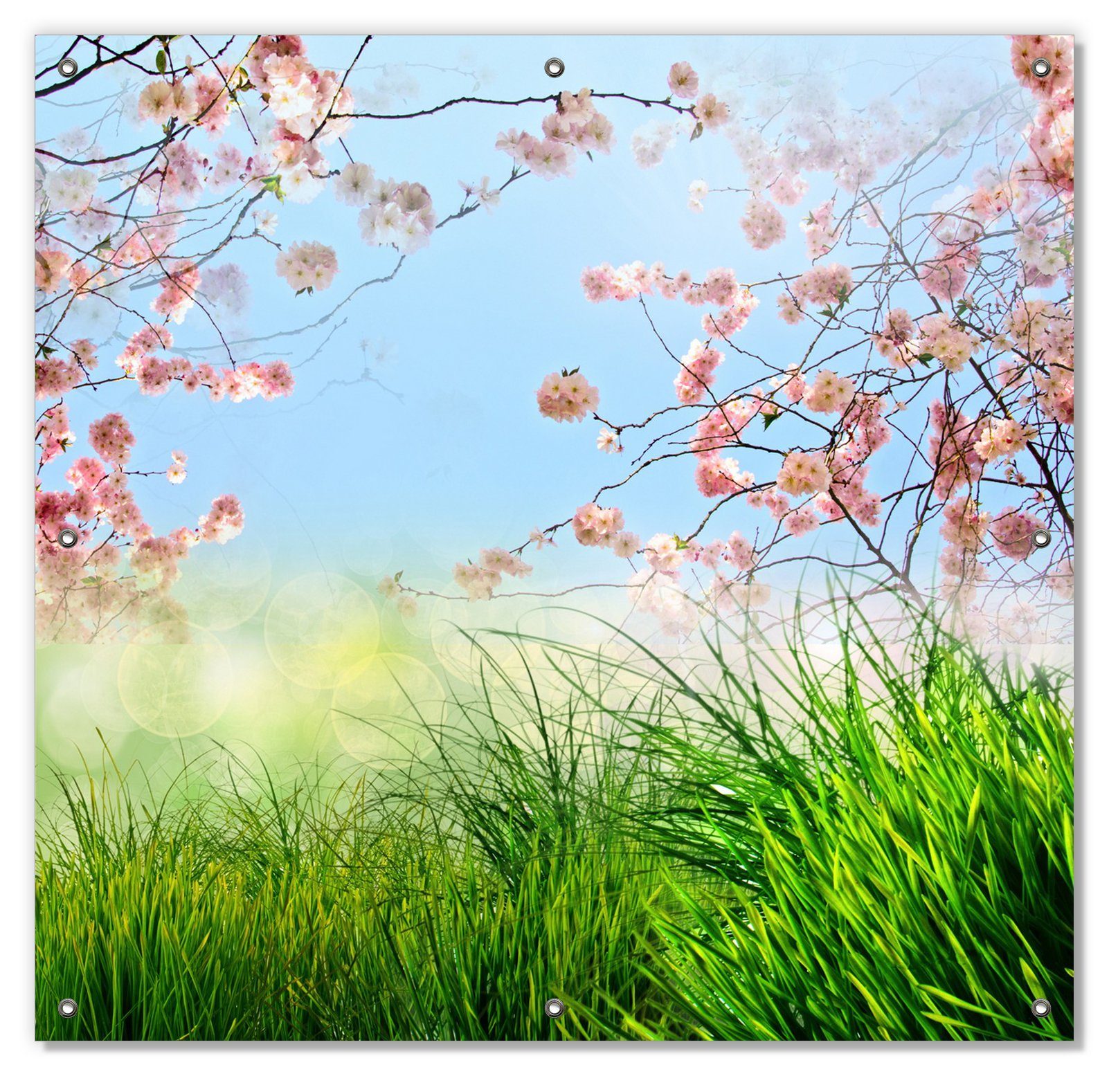 Sonnenschutz Kirschblütenzweige wiederablösbar und und blickdicht, mit Wiese- wiederverwendbar grüne Saugnäpfen, Wallario, Frühling