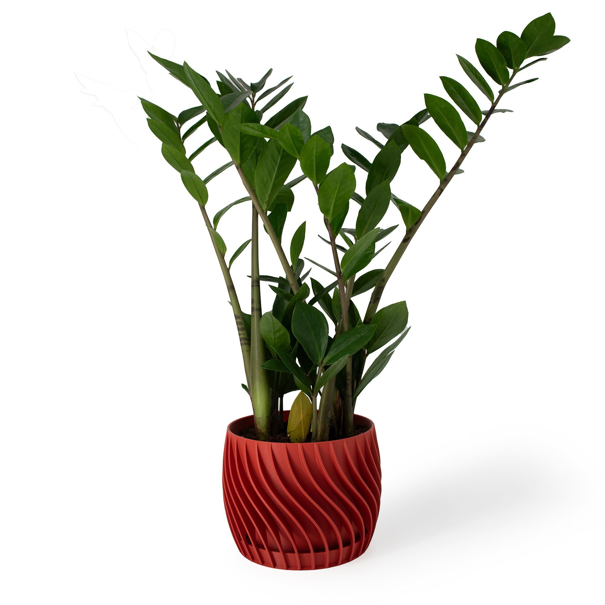 Shapes - Decorations Blumentopf The Plant Pot - Blumentopf mit integriertem Unterteller (Einzelmodell, 1 x Blumentopf mit integriertem Untersetzer), Spiraloptik