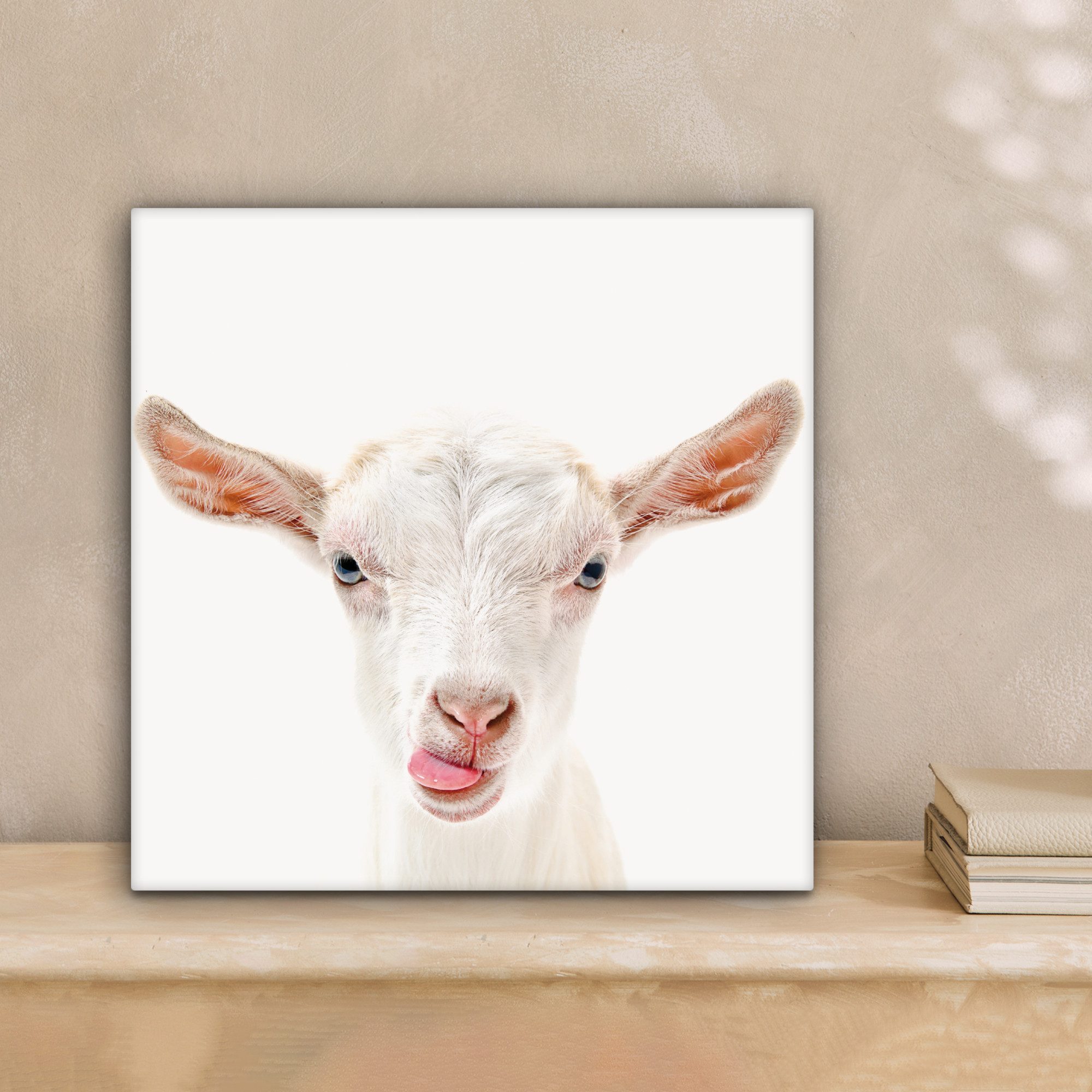 OneMillionCanvasses® Leinwandbild Ziege - Porträt - günstig online kaufen
