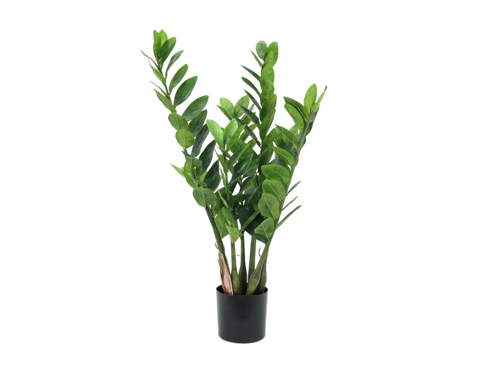 Kunstpflanze Zamifolia, 70cm, EUROPALMS, Höhe 70 cm