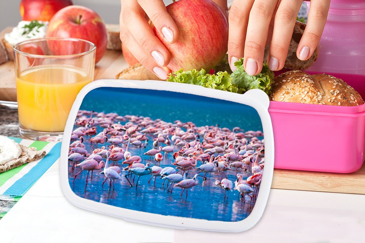 MuchoWow - Mädchen, Kinder, Kunststoff Erwachsene, (2-tlg), - Snackbox, Wasser Brotbox Rosa, - Lunchbox Brotdose Tropisch für Kunststoff, Flamingo
