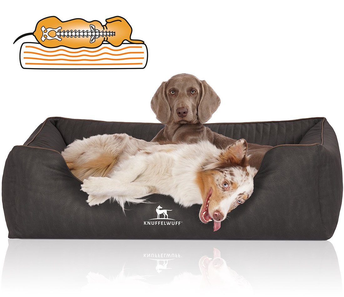Tierbett Hundebett Tampa