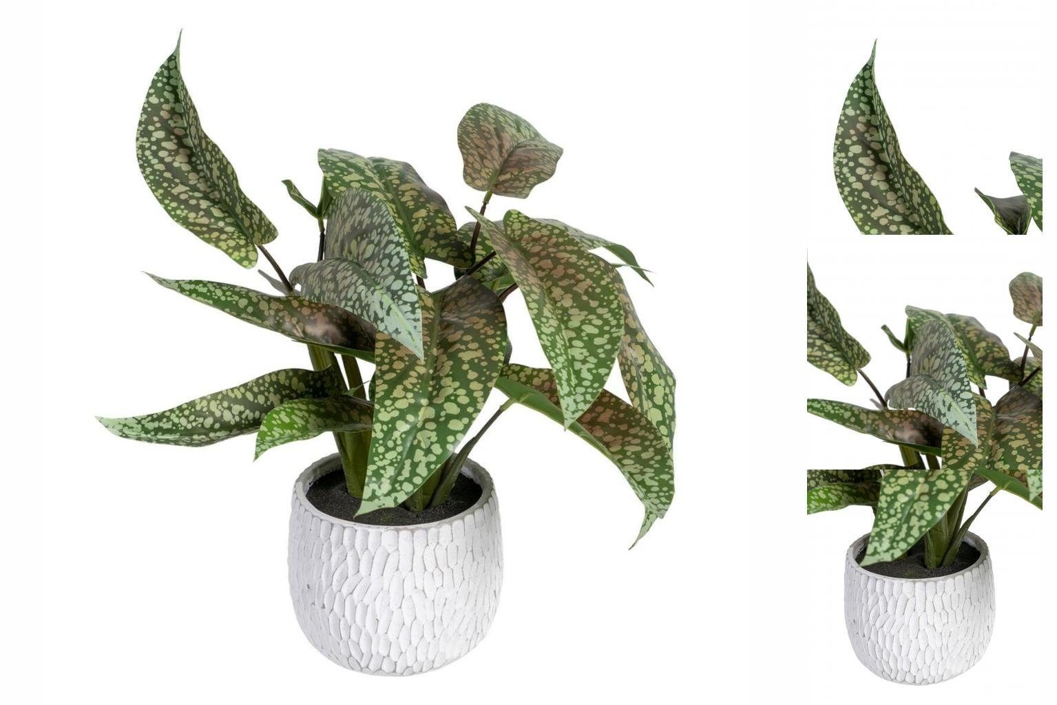 Künstliche Zimmerpflanze Dekorationspflanze grün 50 x PVC 52 Bigbuy, x cm cm, Höhe 44 44