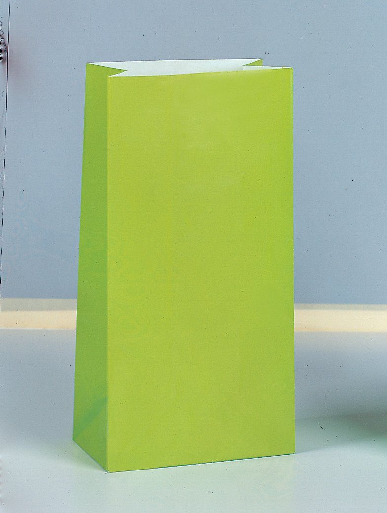 Partystrolche Tragetasche Papiertüte Geschenktüte 12 Stück für kleine Geschenke hellgrün