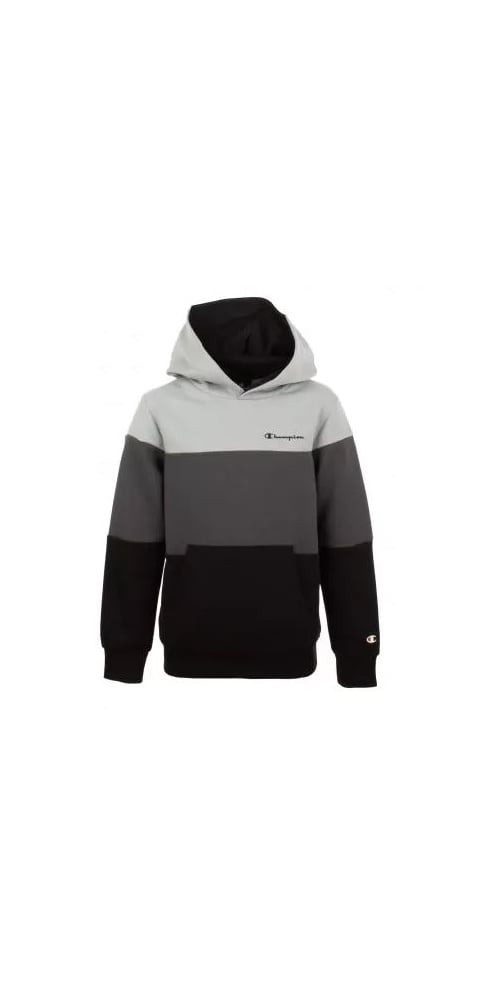 Champion Kapuzenpullover (Hoodie) American Classic 3 günstig online kaufen