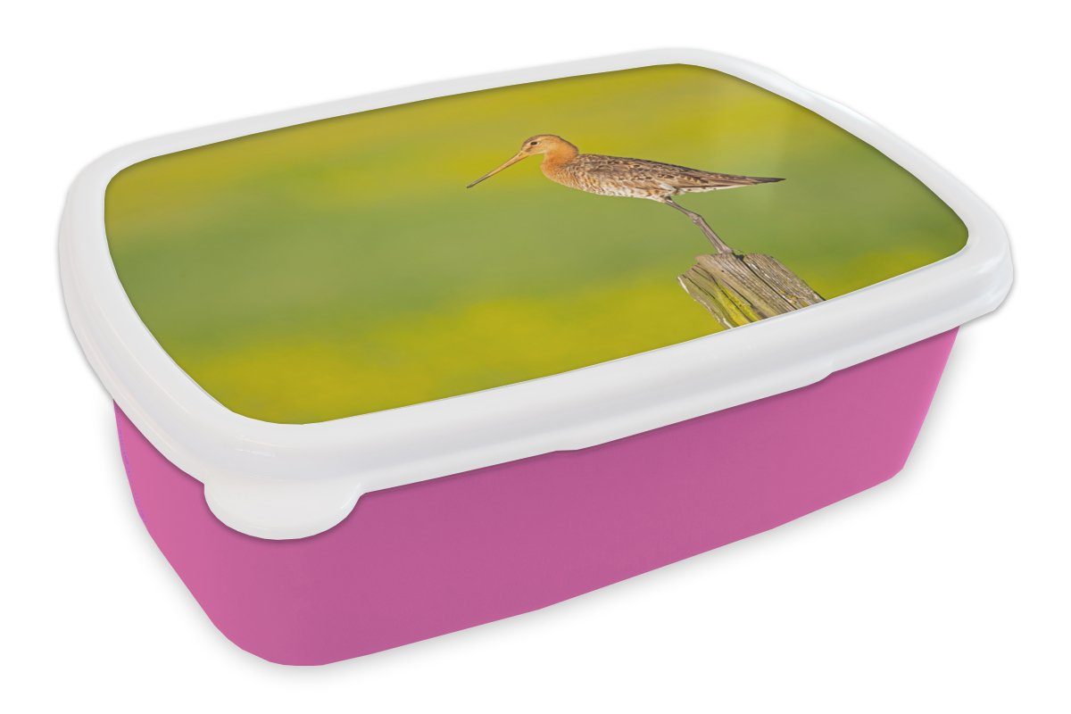 MuchoWow Lunchbox Brotbox - (2-tlg), Pfahl - Grün, Kinder, - Kunststoff Snackbox, Kunststoff, - Mädchen, Erwachsene, Uferschnepfe Brotdose für Tiere rosa Vogel