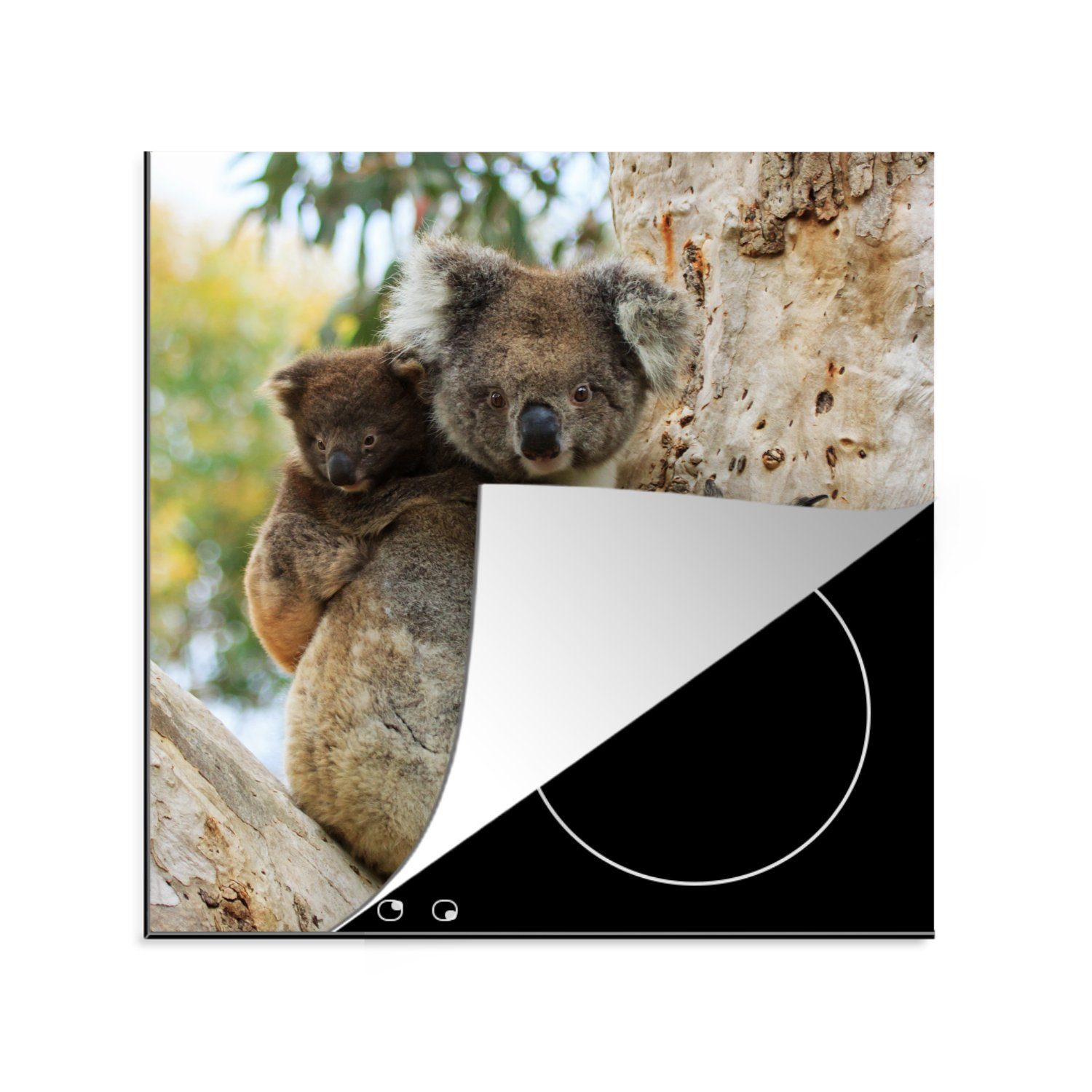 MuchoWow Herdblende-/Abdeckplatte Koalas - Kind - Baum - Jungen - Mädchen, Vinyl, (1 tlg), 78x78 cm, Ceranfeldabdeckung, Arbeitsplatte für küche