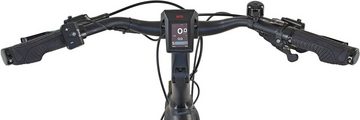 Prophete E-Bike eSUV 23.ETS.15, 10 Gang Shimano Deore Xt Schaltwerk, Kettenschaltung, Mittelmotor, 630 Wh Akku