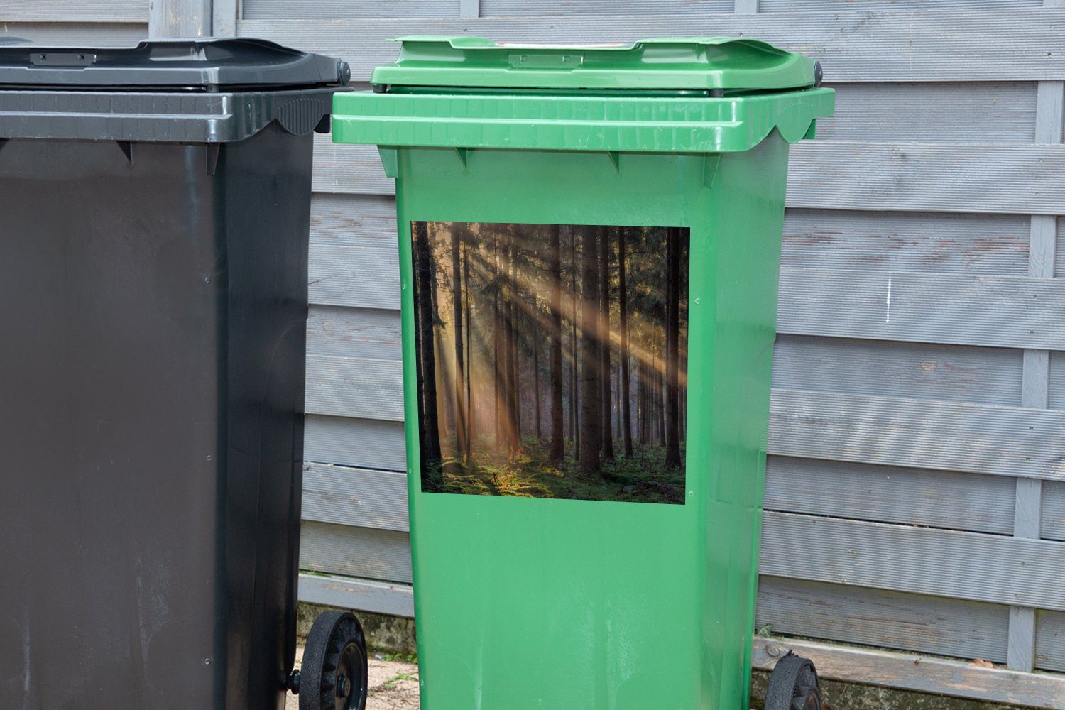 St), Pflanzen Container, Bäume Mülleimer-aufkleber, Abfalbehälter MuchoWow (1 Wald - Mülltonne, Sticker, Wandsticker - Sonne -