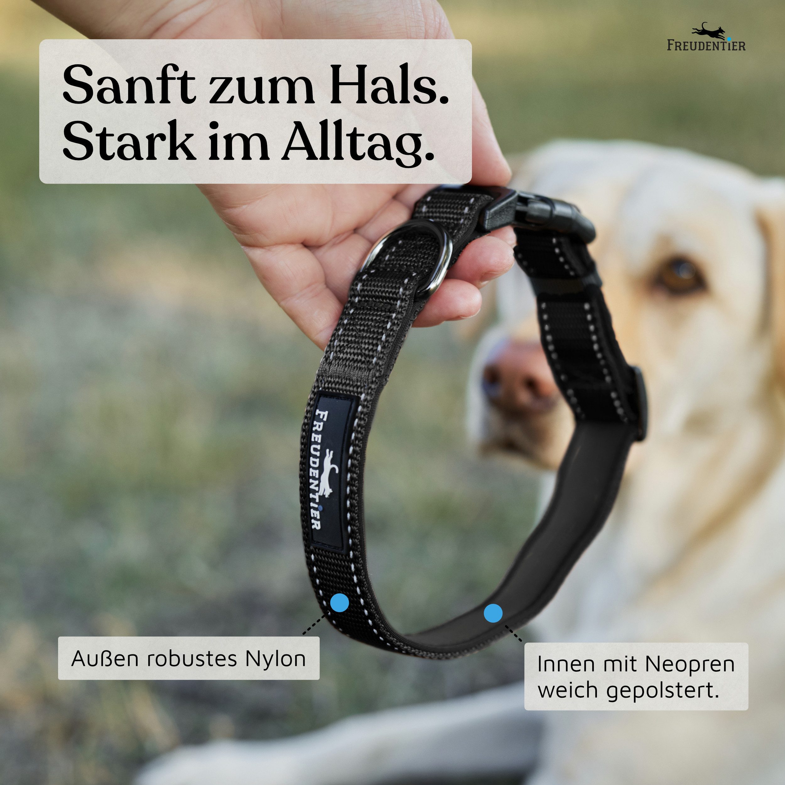 Freudentier Hunde-Halsband Hundehalsband - gepolstert & reflektierend - Clyde Kollektion