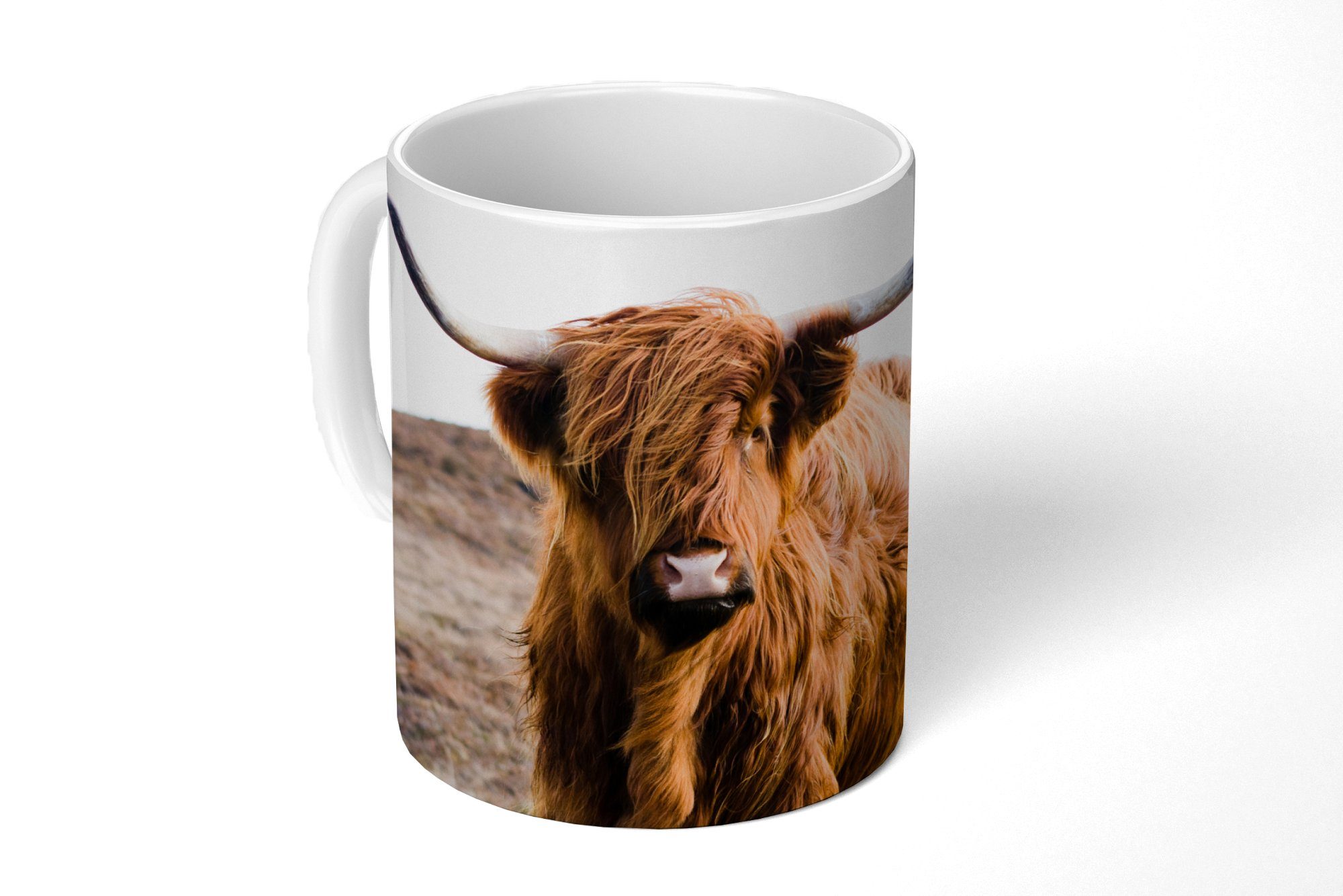Tasse Schottische Highlander - Landschaft - Kuh - Braun - Tiere - Natur