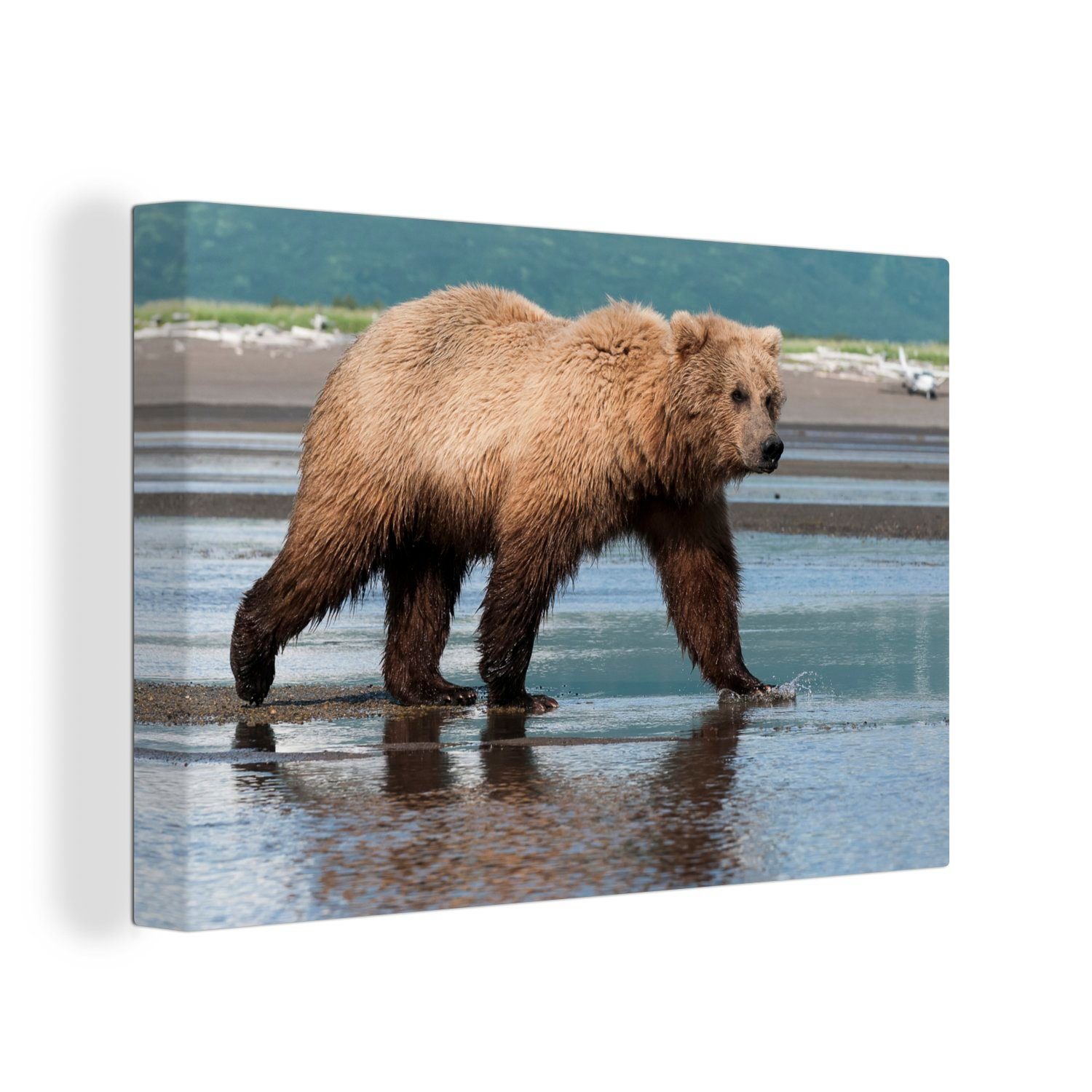Leinwandbild - - St), (1 cm Strand OneMillionCanvasses® Wandbild Wanddeko, Bär Leinwandbilder, Aufhängefertig, Wasser, 30x20