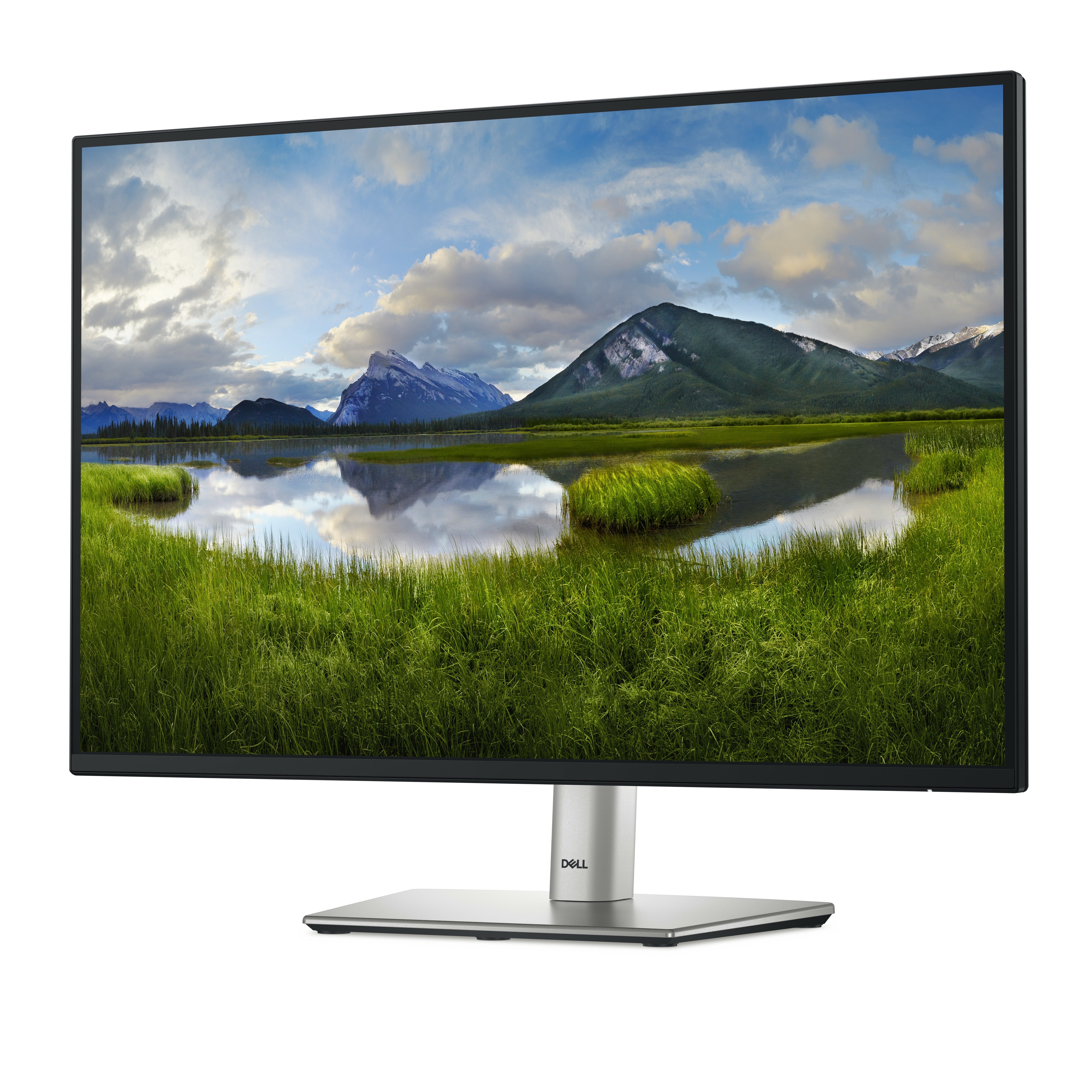 Dell Flüssiger Displayschutz