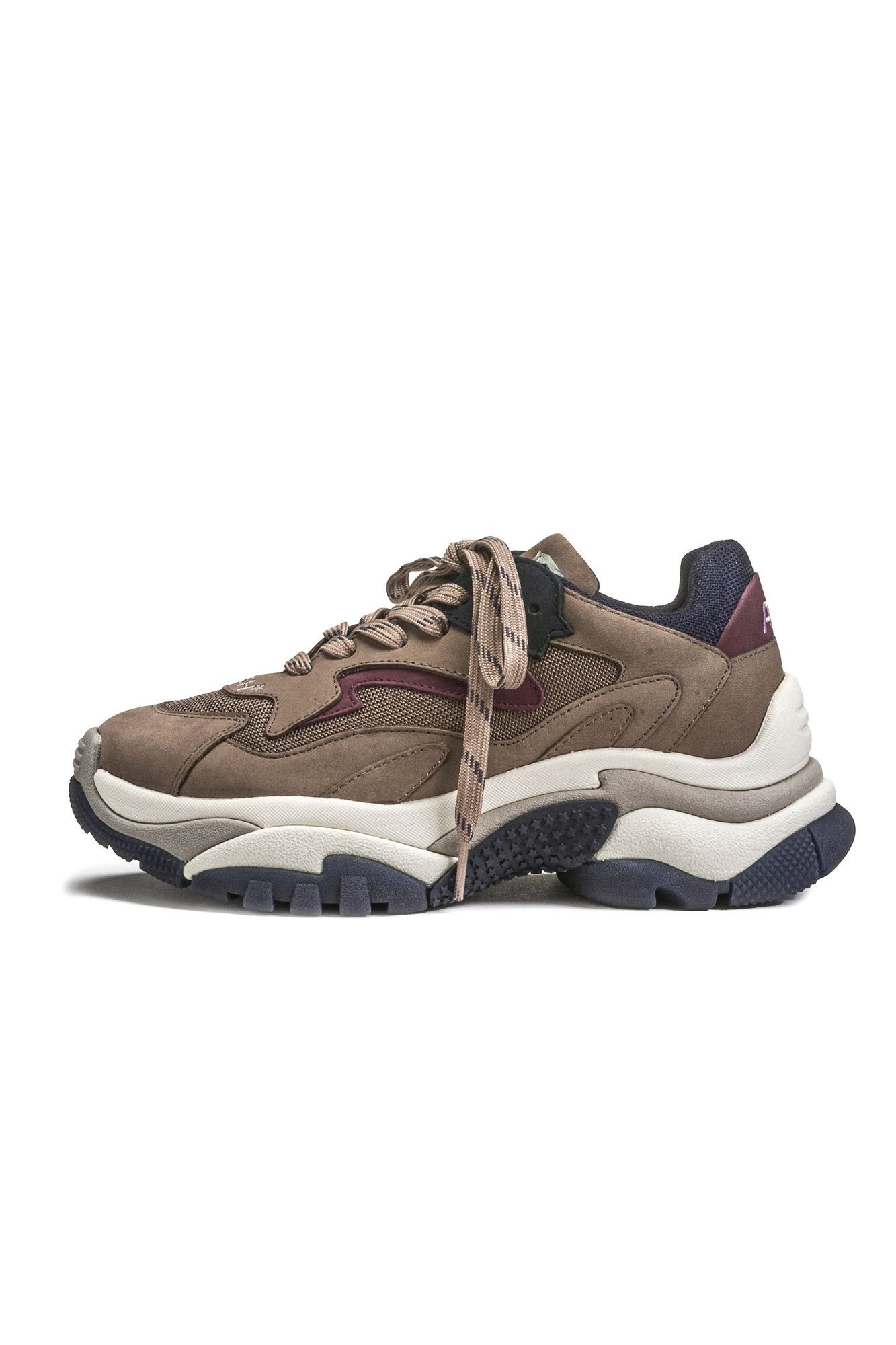 sneaker ash addict