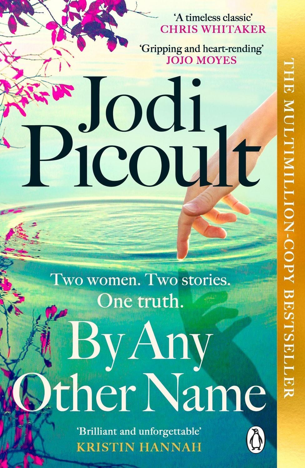 Belletristik By Any Other Name Jodi Picoult