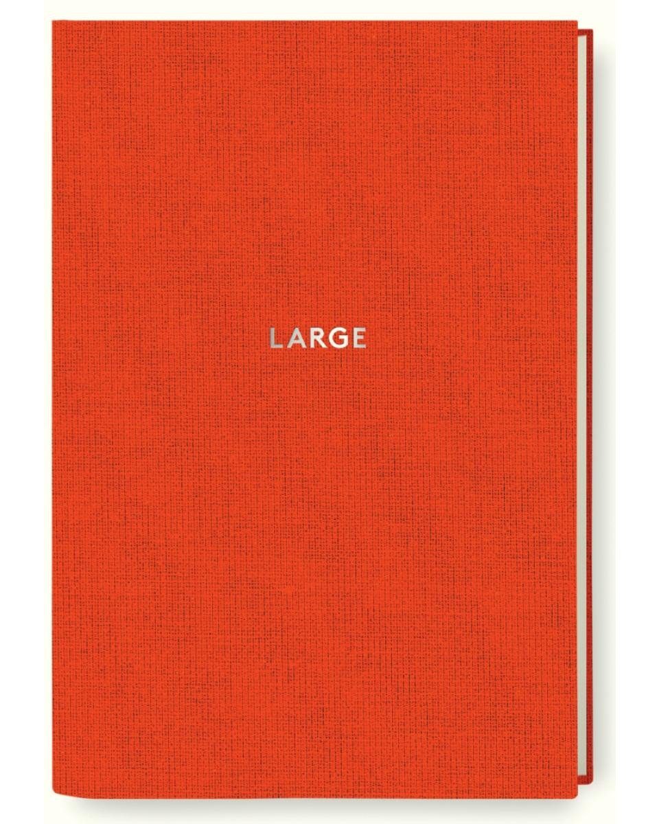 Diogenes Verlag Notizbuch Diogenes Notes, Large