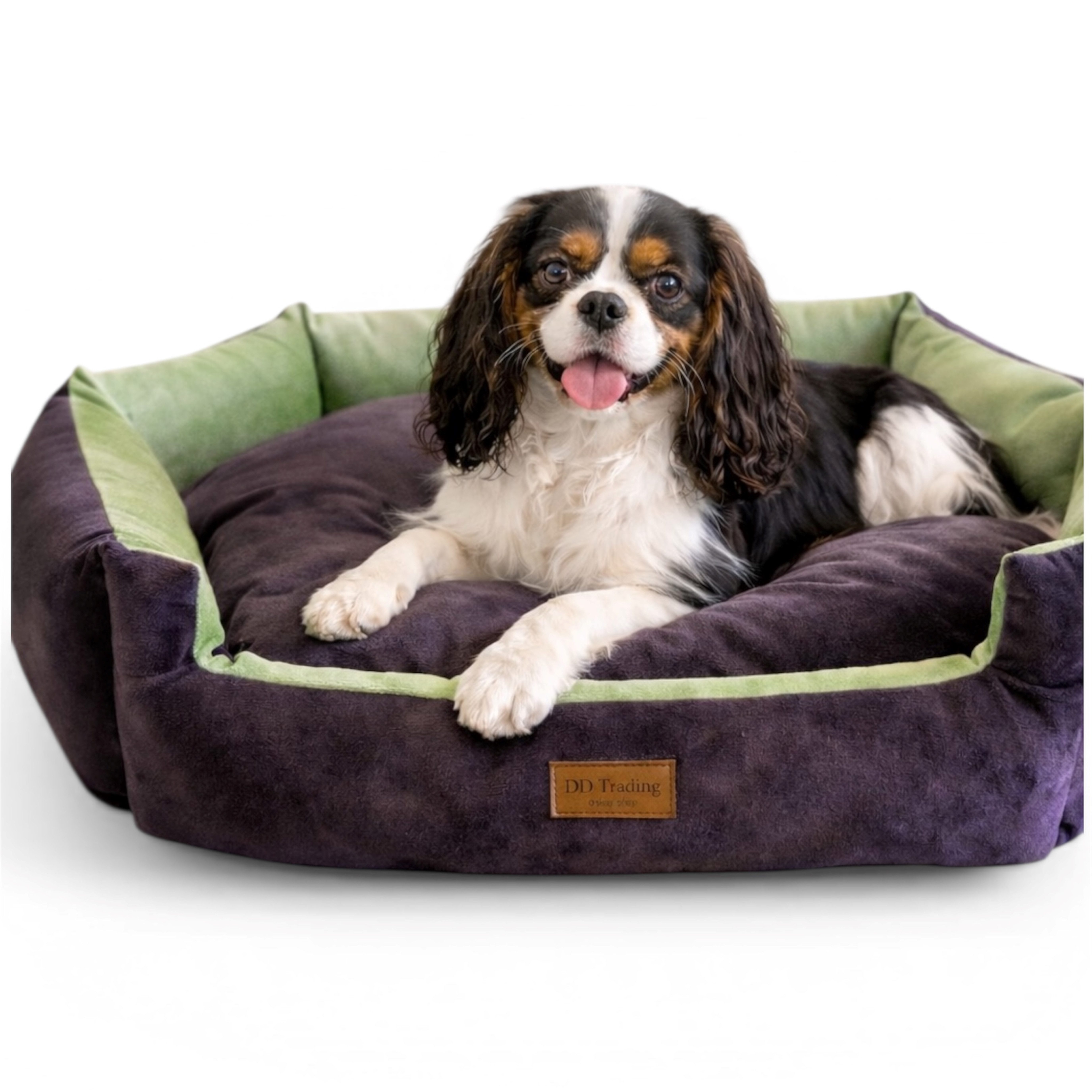 DDOnlineShop Tierbett Tierbett Hundebett Hundematte Lila (A102), Premium Qualität