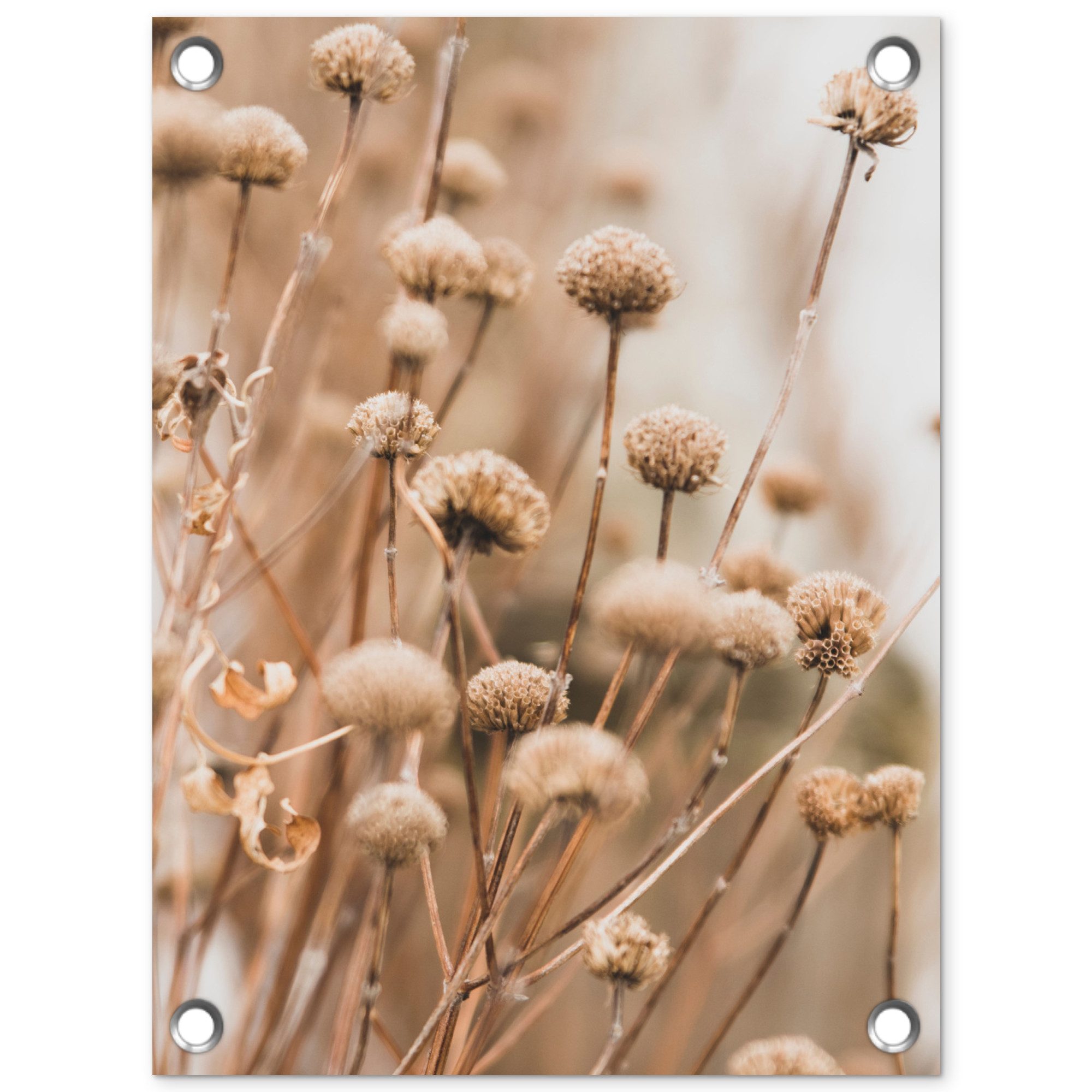 OnlyWow Poster für Garten Getrocknete Blumen - Beige - Natur, Gartenposter, Outdoor Bilder, Gartendeko für draußen, 30x40 cm