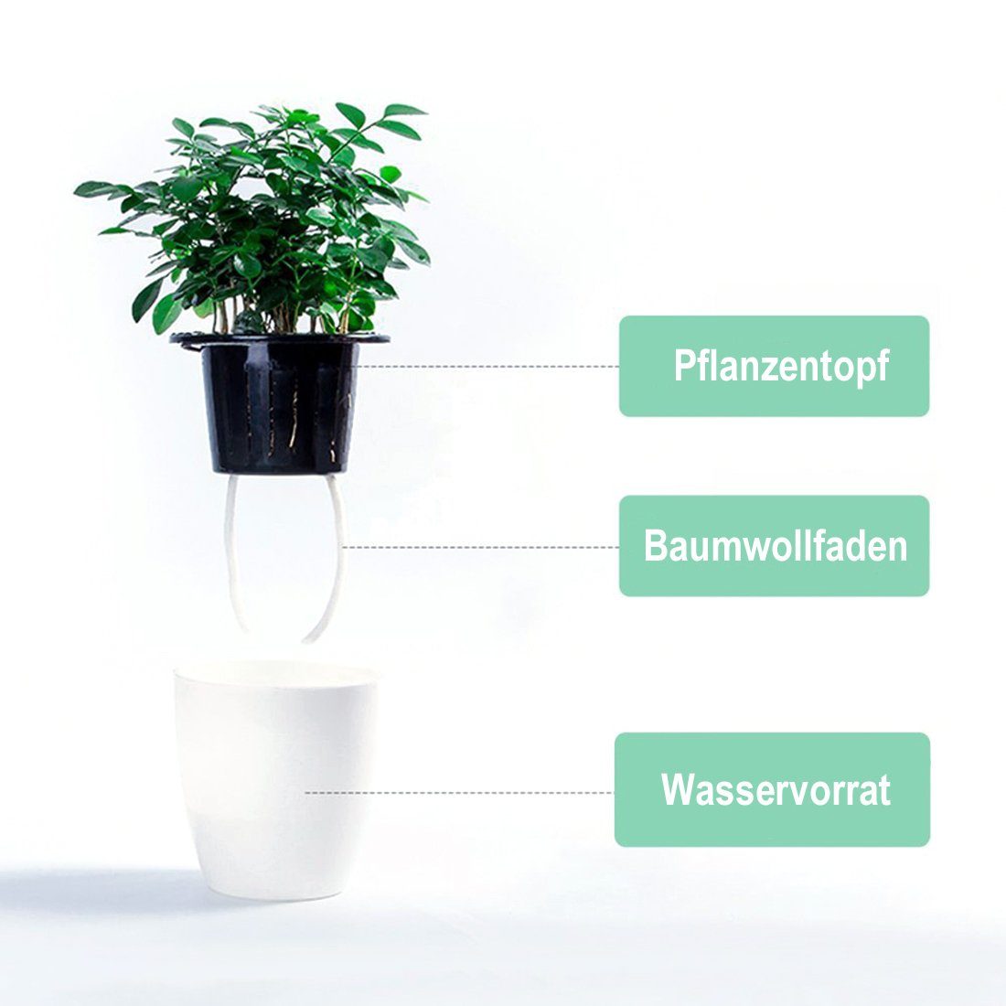 wortek Blumentopf Pflanzentopf mit Resin-Kunststoff, Selbstbewässernd, Baumwollkordel