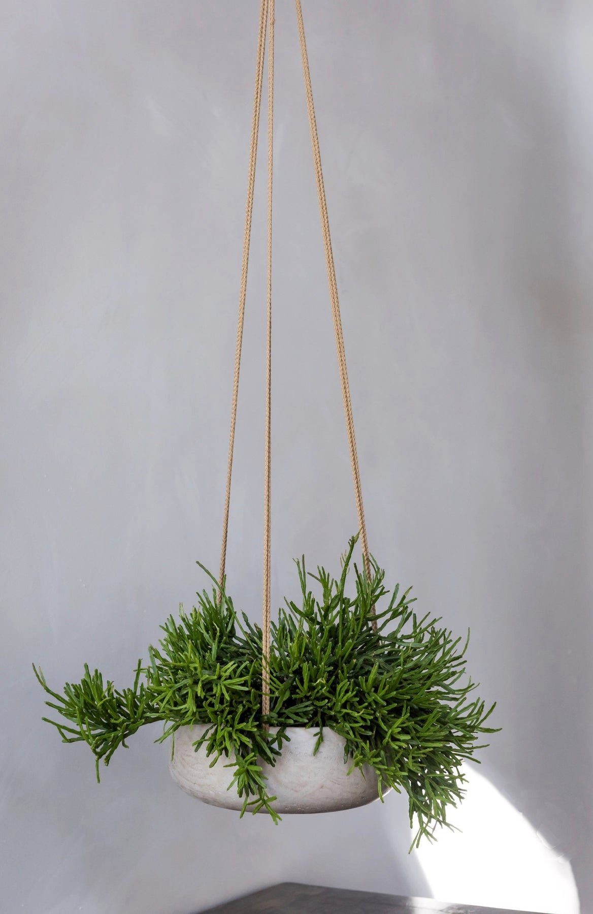 finestgreen Blumenampel Hanging Grau Handgefertigte Eileen Blumenampel