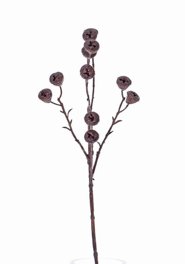 Kunstzweig Künstlicher Zweig Eukalyptus Zweig Basilius mit Früchten, braun, 60cm Eukalyptus, artplants, Höhe 60.0 cm