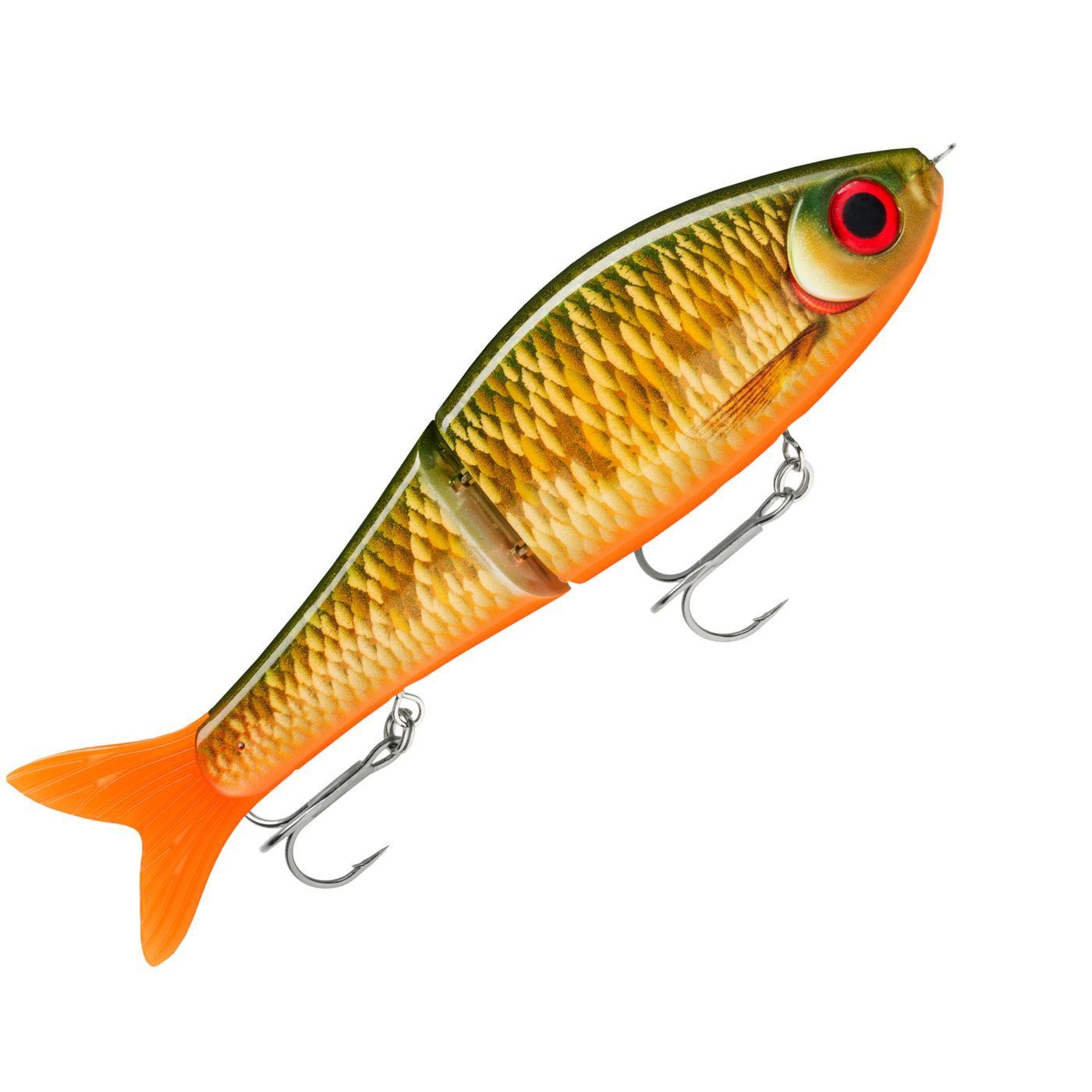 Scaled Roach