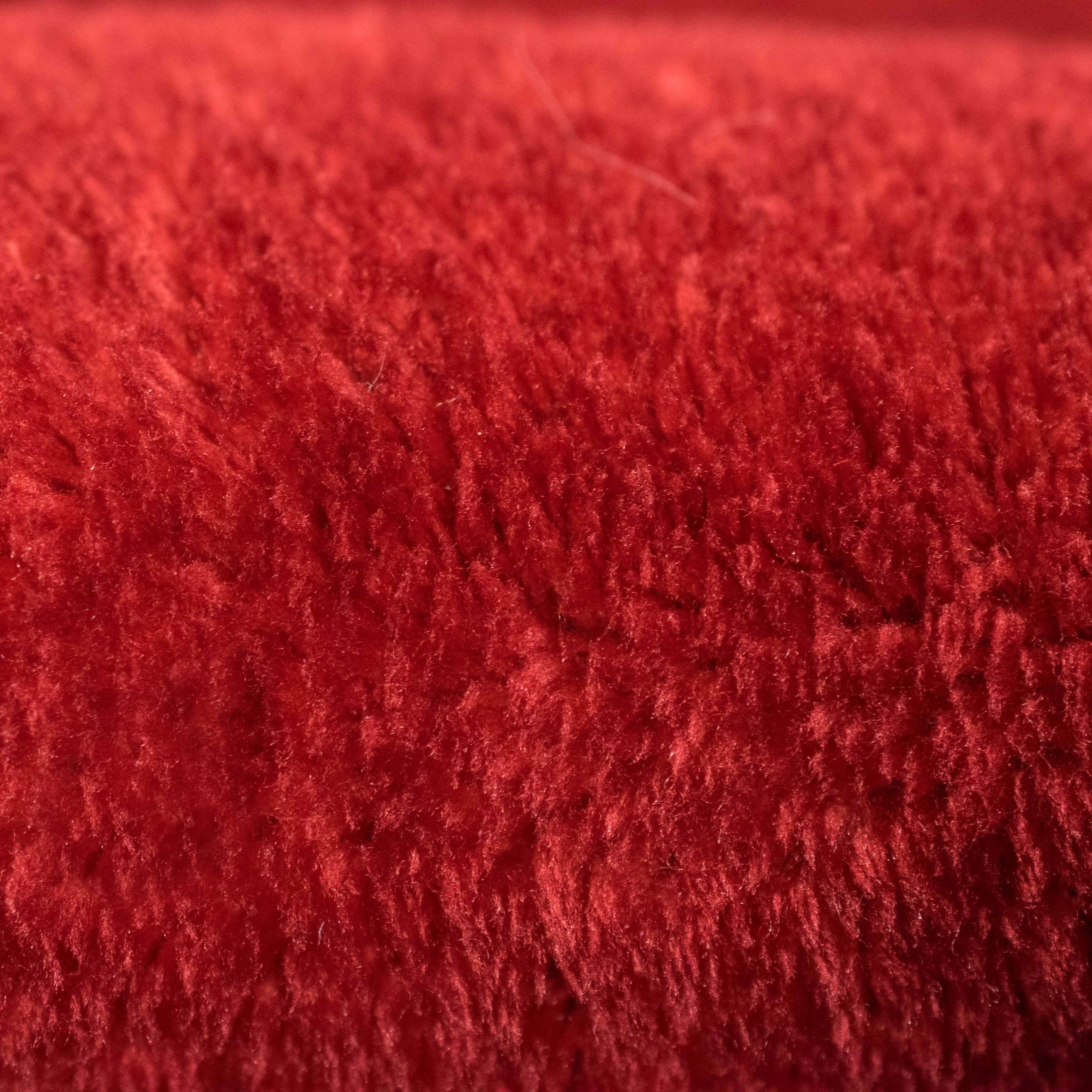 Carpetia Teppich Badezimmer Teppich mit abgerundeten Ecken, waschbar, in rot, rechteckig, Höhe: 16 mm