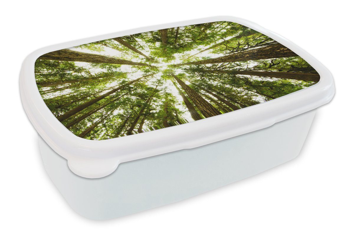 MuchoWow Lunchbox Hohe grüne Bäume im Dschungel, Kunststoff, (2-tlg), Brotbox für Kinder und Erwachsene, Brotdose, für Jungs und Mädchen weiß