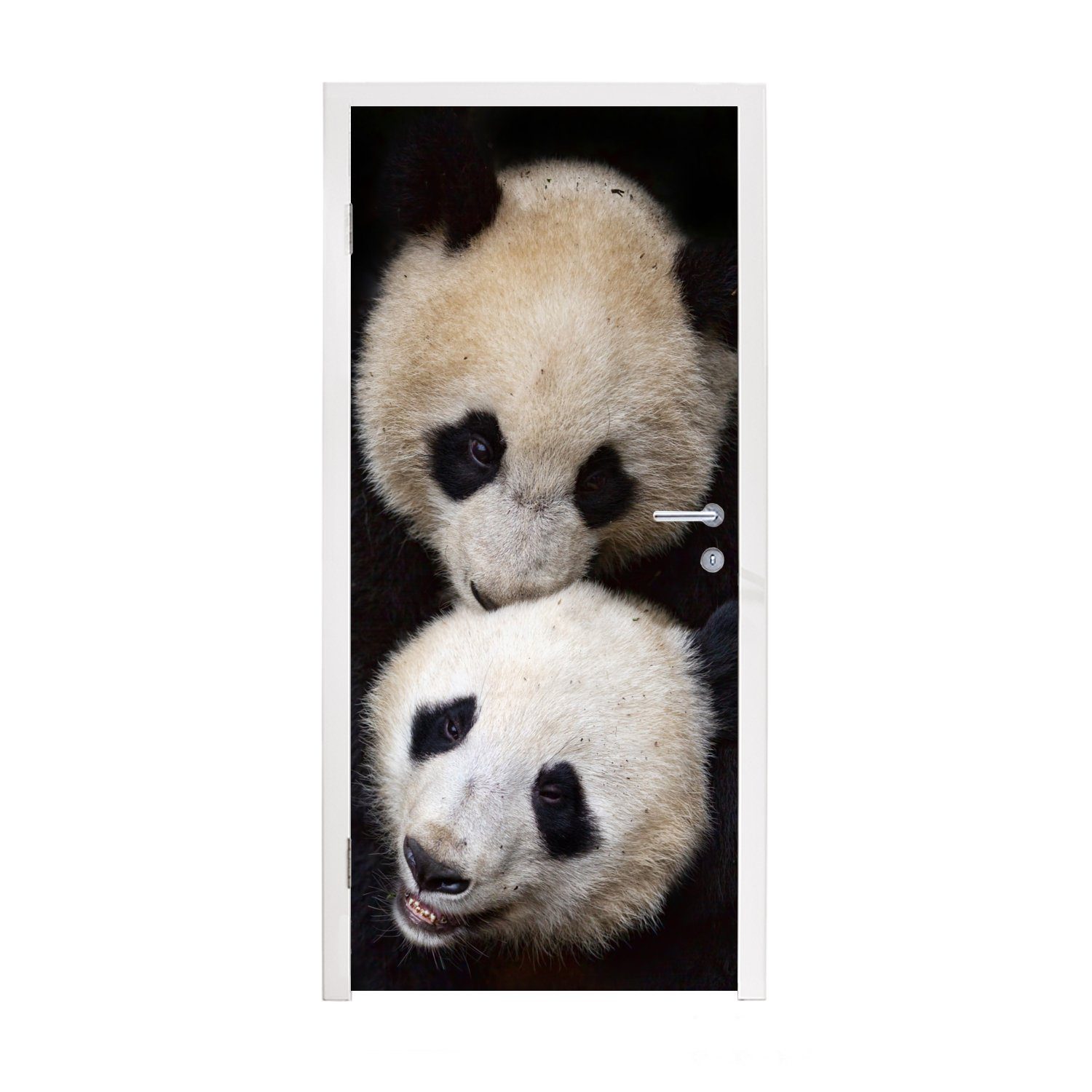 MuchoWow Türtapete Panda - Tierfreunde - Schwarz, Matt, bedruckt, (1 St), Fototapete für Tür, Türaufkleber, 75x205 cm