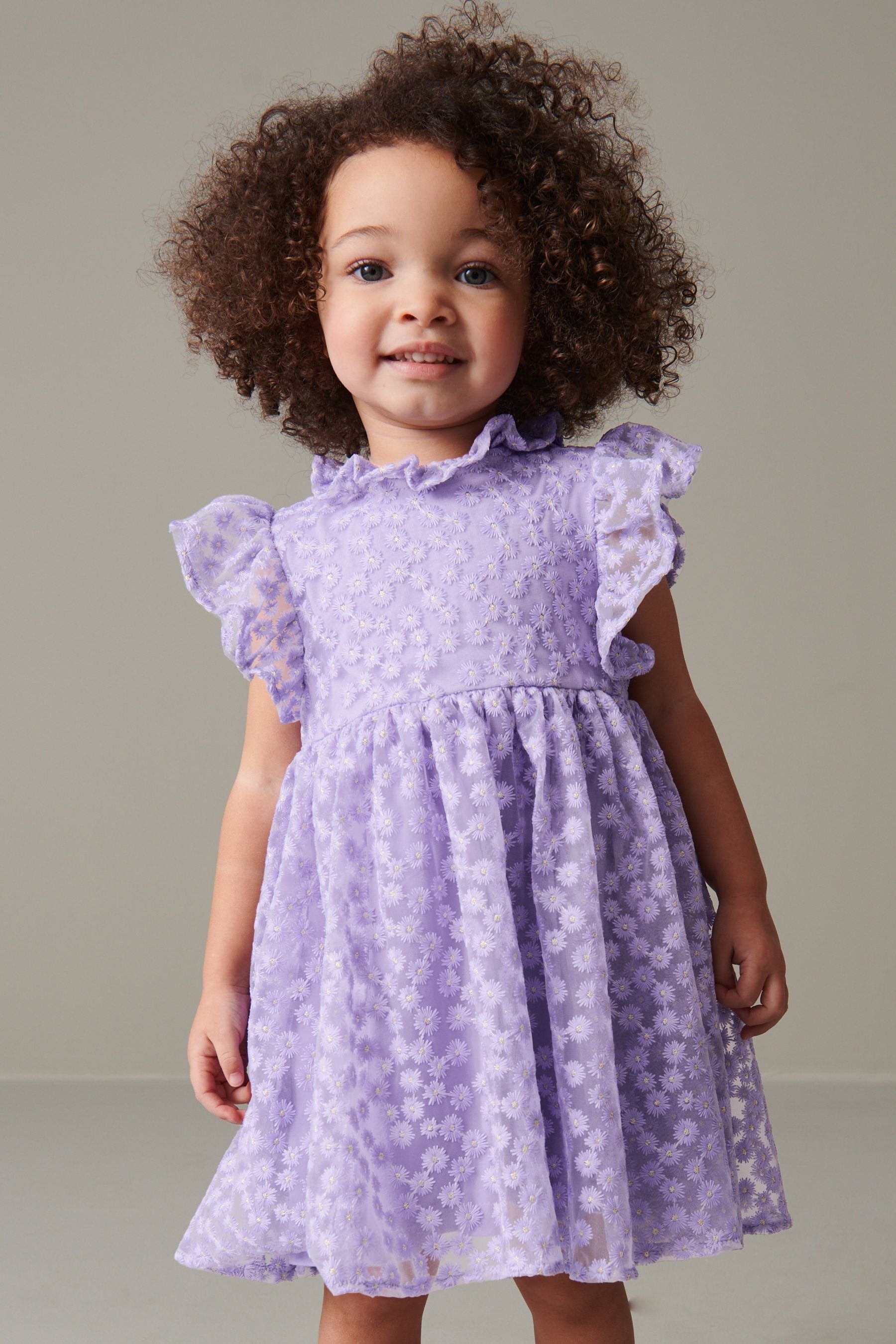 kurzen Kleid Rüschenärmel mit Lilac Purple Next (1-tlg) Spitzenkleid