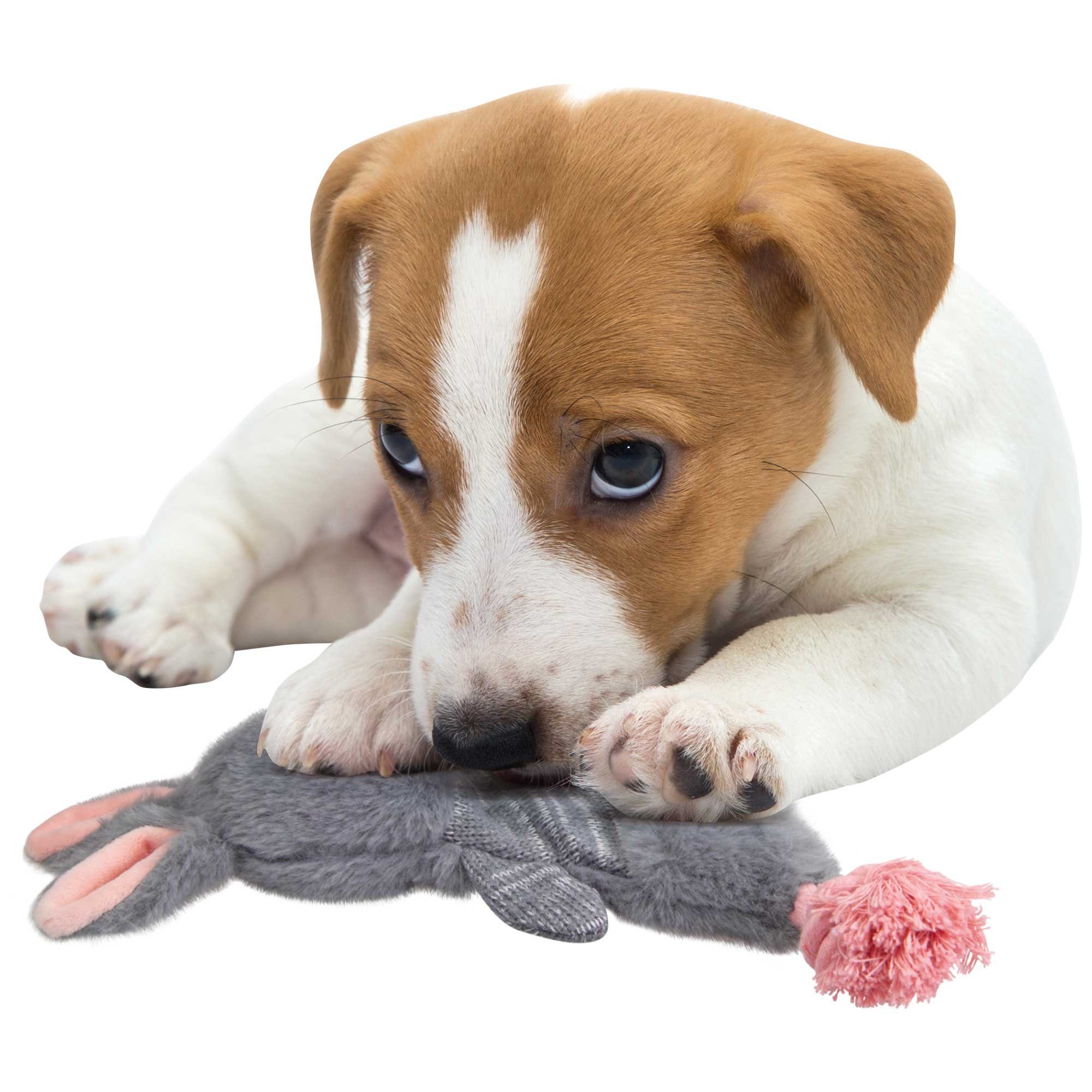 Holland Animal Care Tierkuscheltier Hundespielzeug Bunny günstig online kaufen