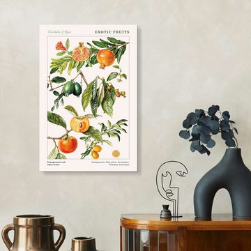 Posterlounge Alu-Dibond-Druck Elizabeth Rice, Granatapfel und andere Früchte, Esszimmer Vintage Grafikdesign