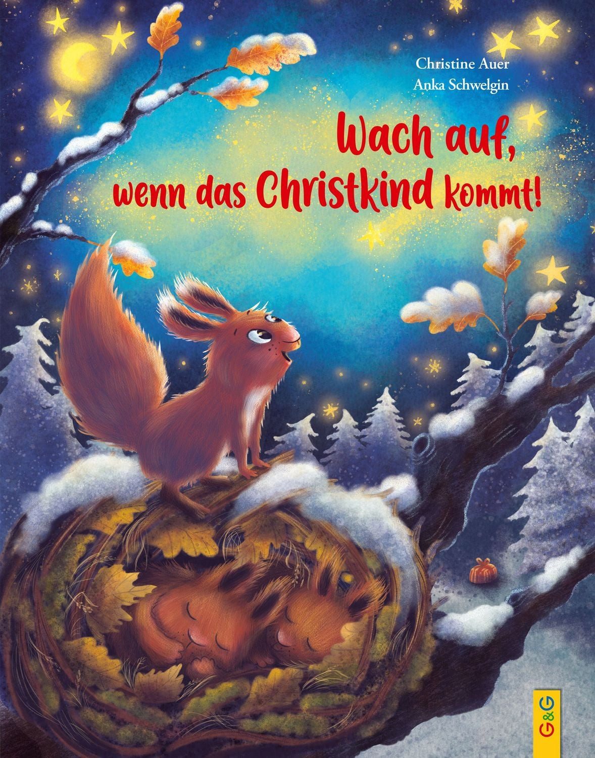 Wach auf, wenn das Christkind kommt! / Christine Auer