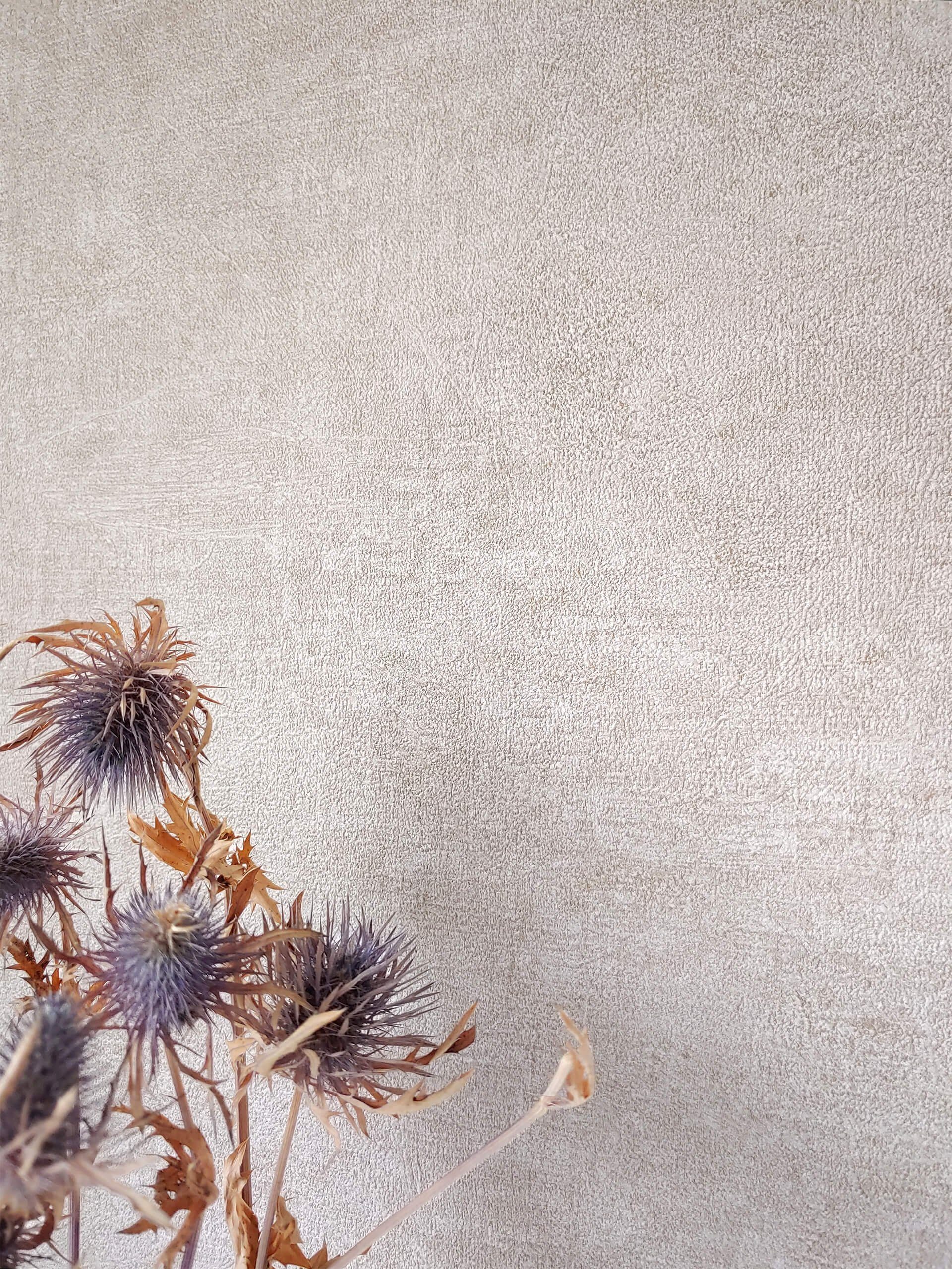 Newroom Vliestapete, Beige Tapete Uni Einfarbig günstig online kaufen