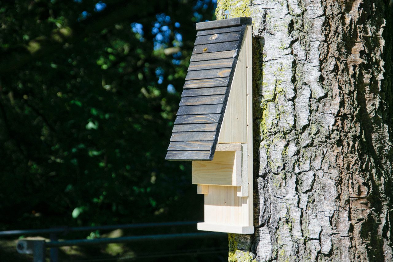 dobar Vogelhaus Dobar Fledermauskasten 19,5 x 14 x 53,3 cm schwarz