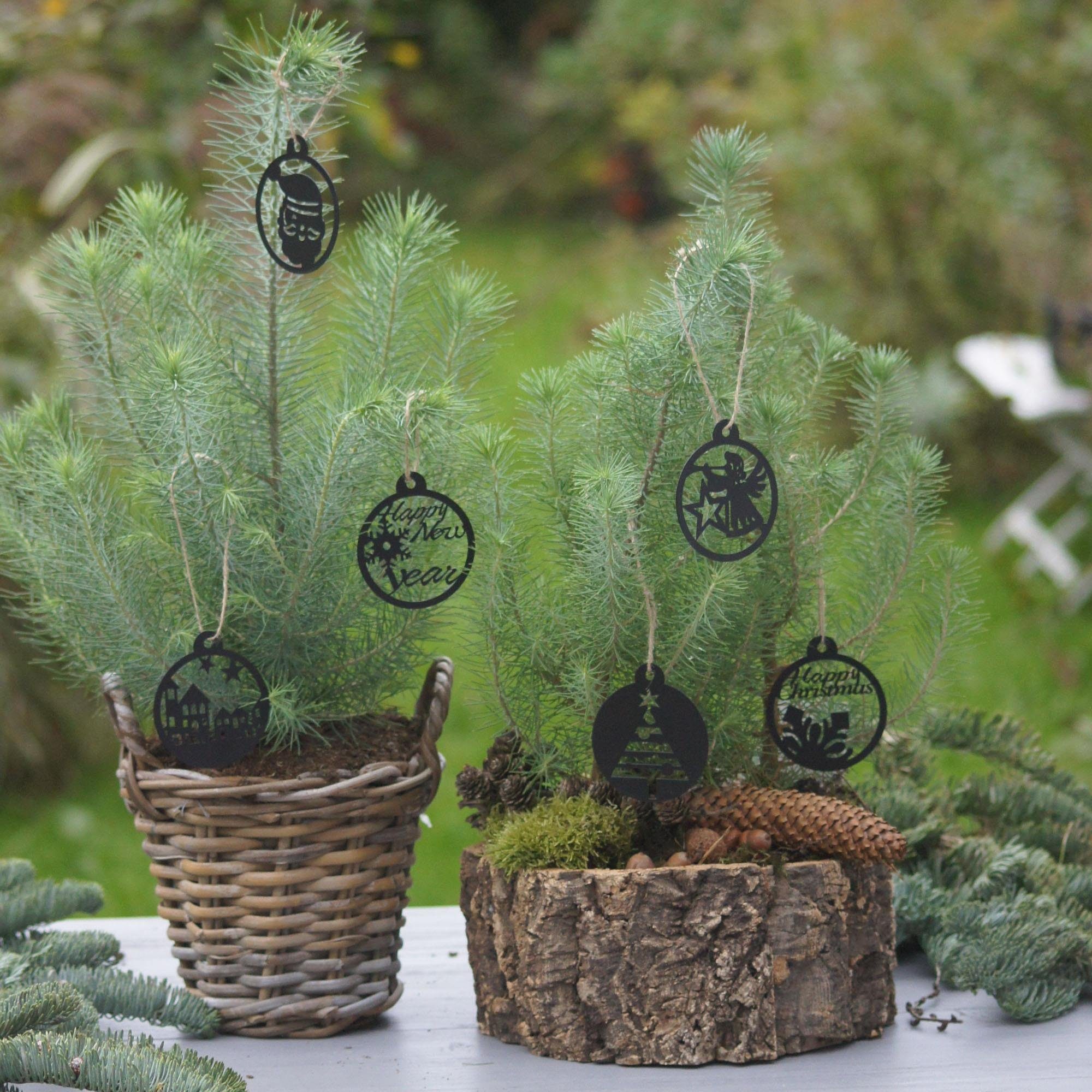 UNUS HOME Weihnachtsbaumkugel Weihnachtsanhänger 12er verschiedene Design Set (12 St), Christbaumschmuck Weihnachtsanhänger Weihnachtsbaumschmuck