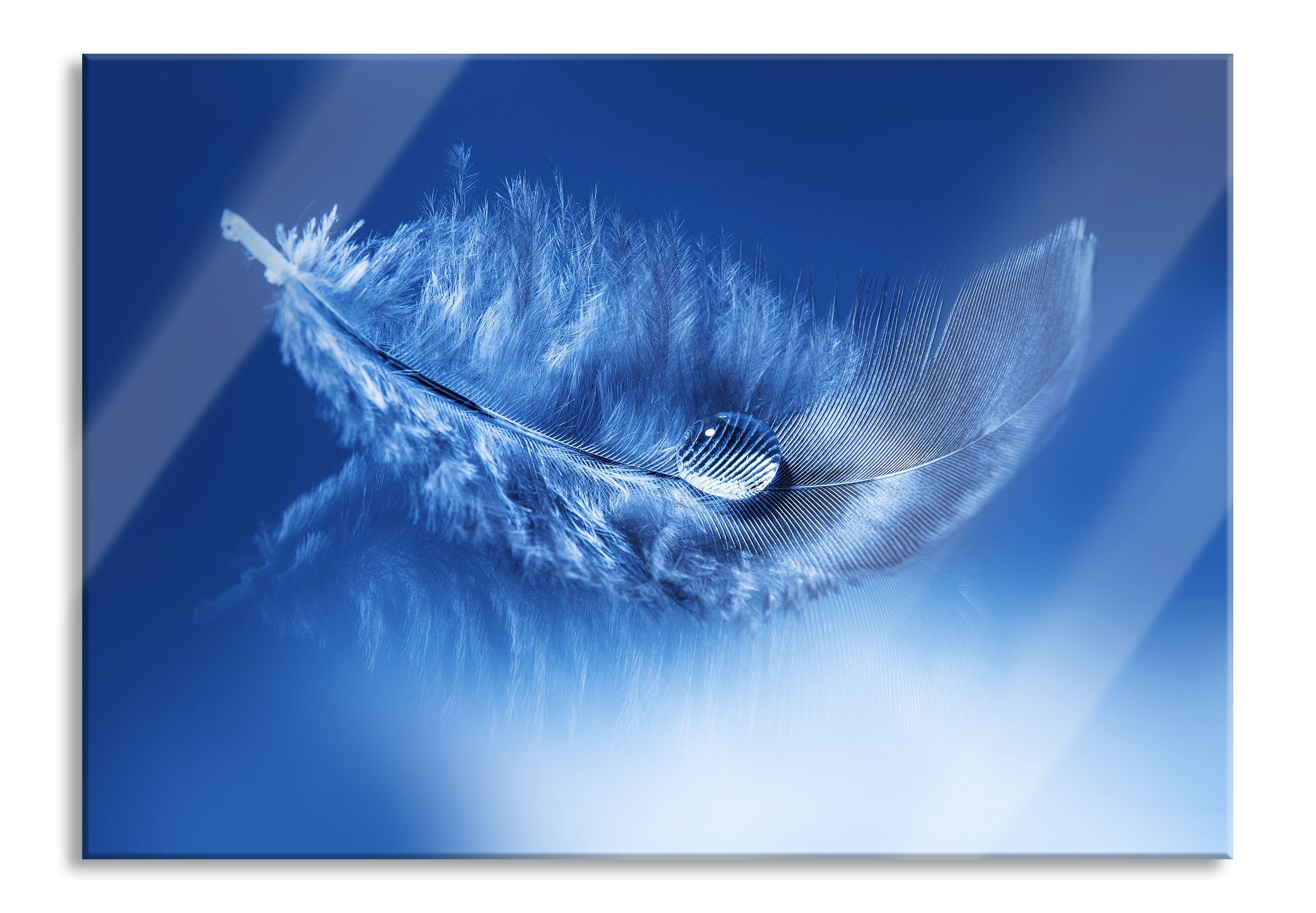 Pixxprint Glasbild Wassertropfen auf Feder, Wassertropfen auf Feder (1 St), Glasbild aus Echtglas, inkl. Aufhängungen und Abstandshalter