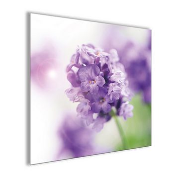artissimo Glasbild Glasbild 30x30cm Bild Blumen Lavendel Flieder lila, Lila Blume: Lavendel