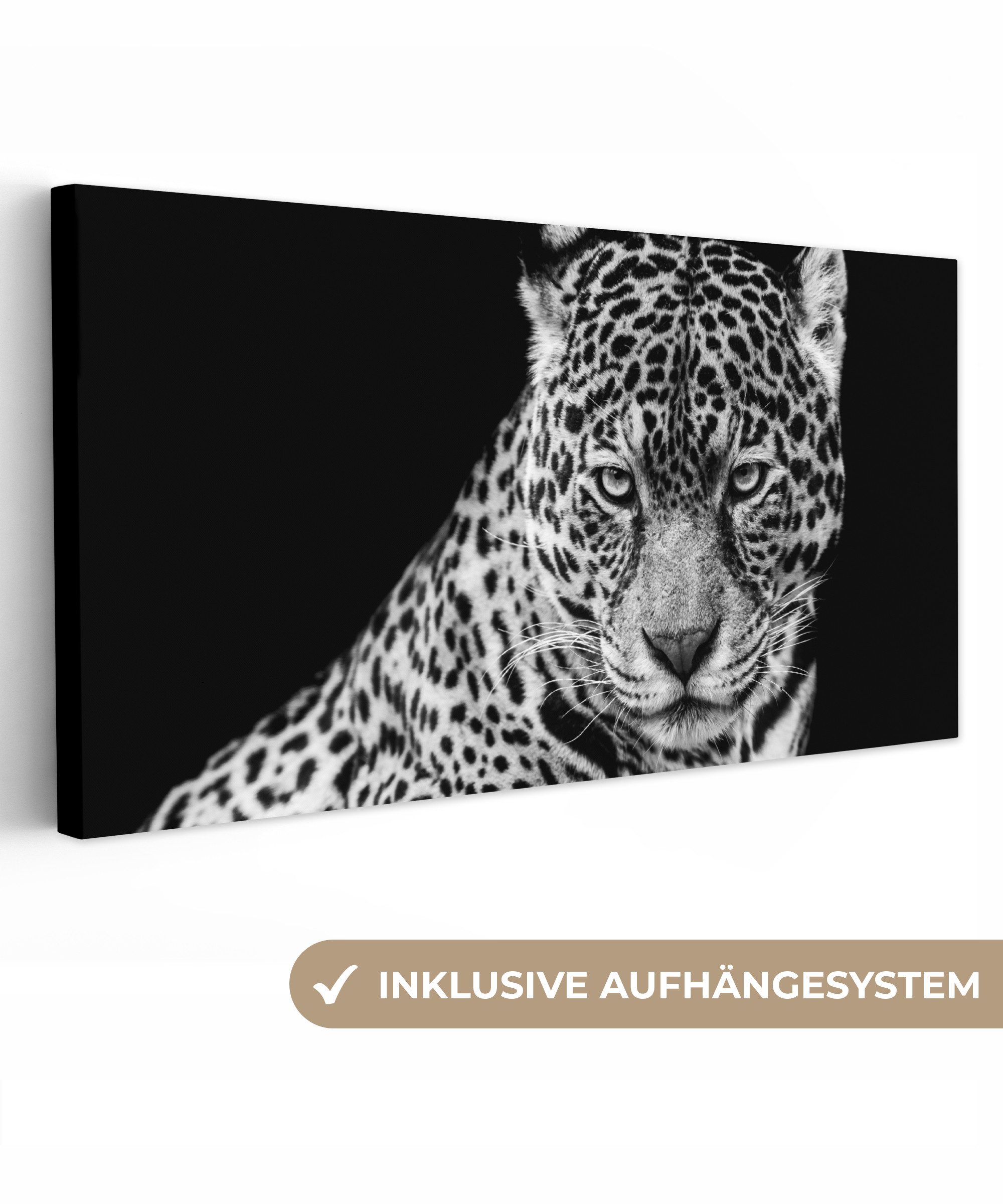 OneMillionCanvasses® Leinwandbild Panorama Leopard - Tiere günstig online kaufen