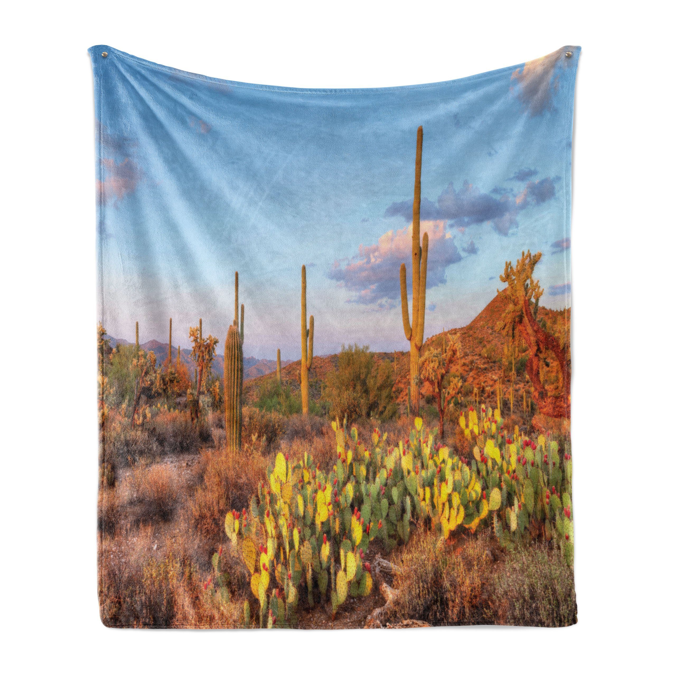 Innen- für Cacti Abakuhaus, und Plüsch Arizona in Gemütlicher den Sonora-Wüste Außenbereich, Wohndecke