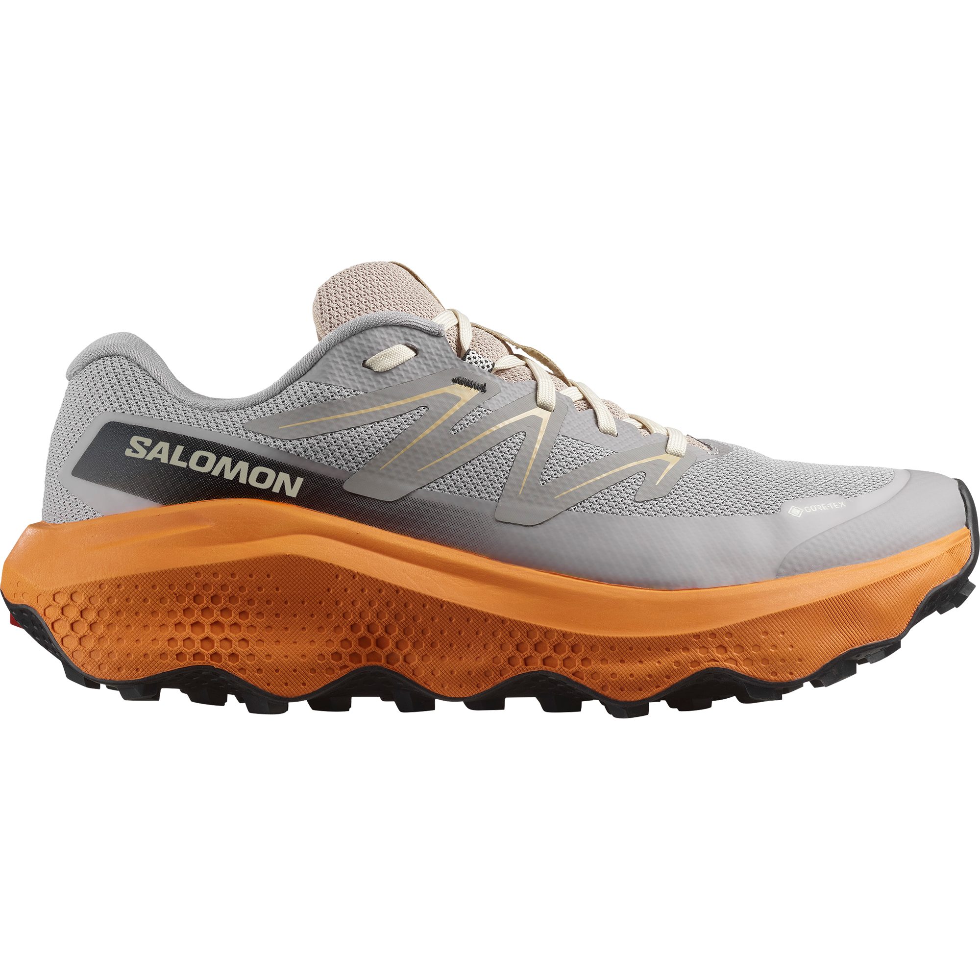 Salomon ULTRA FLOW 2 GORE-TEX Laufschuh wasserdicht günstig online kaufen
