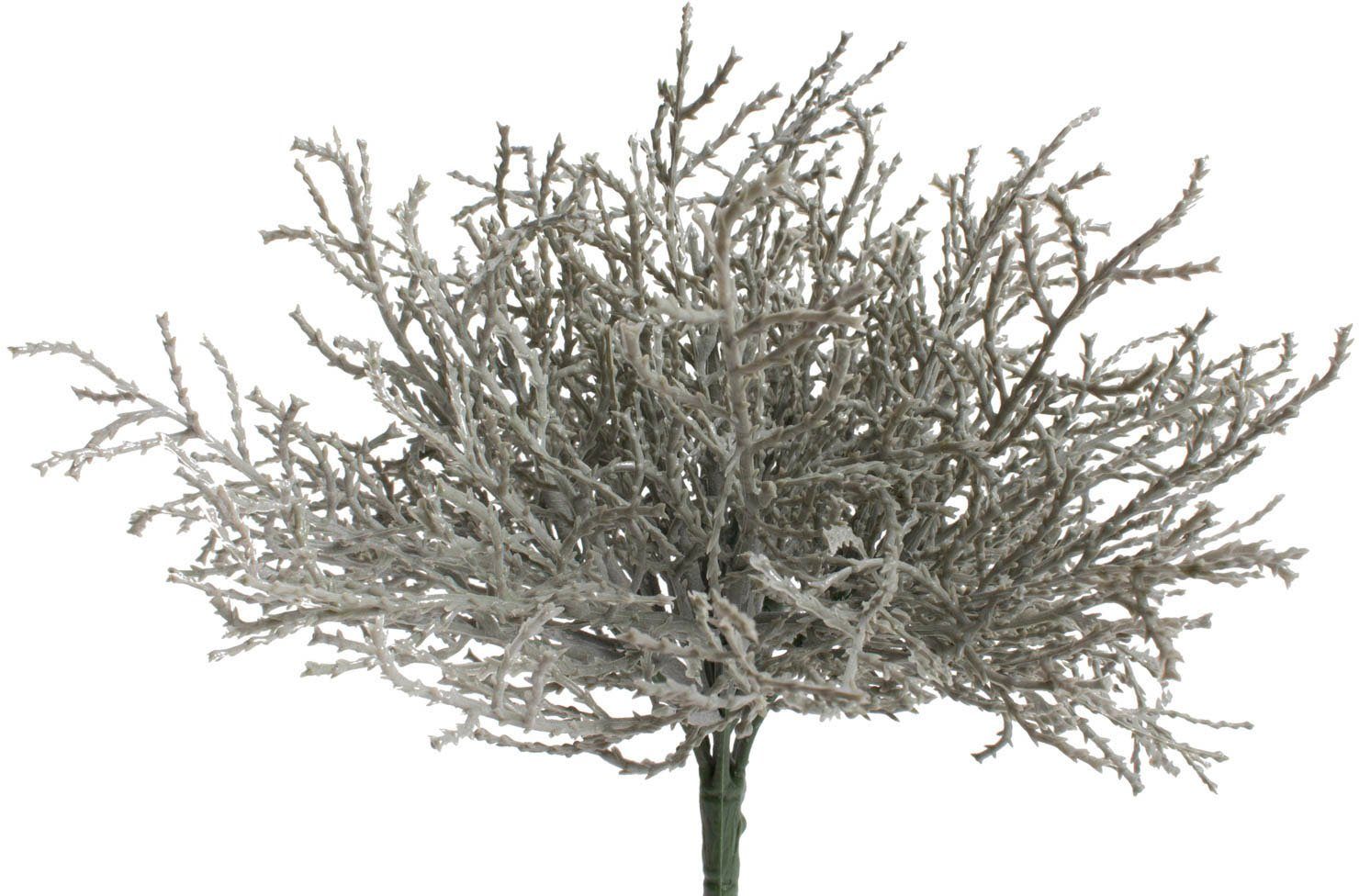 Kunstzweig Calocephalus (Silberkörbchen), Botanic-Haus, Höhe 22 günstig online kaufen