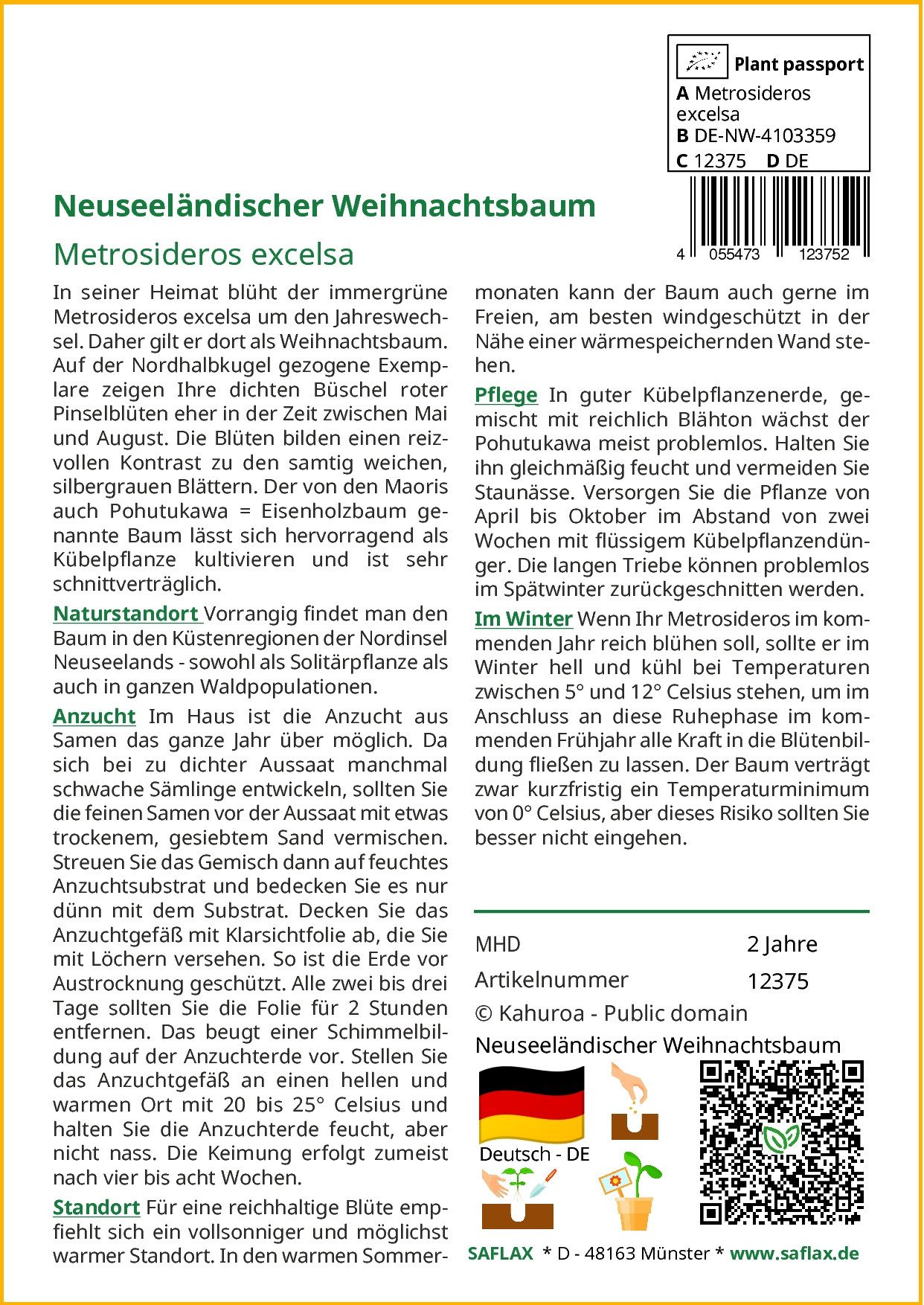 SAFLAX Blumensamen SAFLAX - Samen - Neuseeländischer Weihnachtsbaum günstig online kaufen