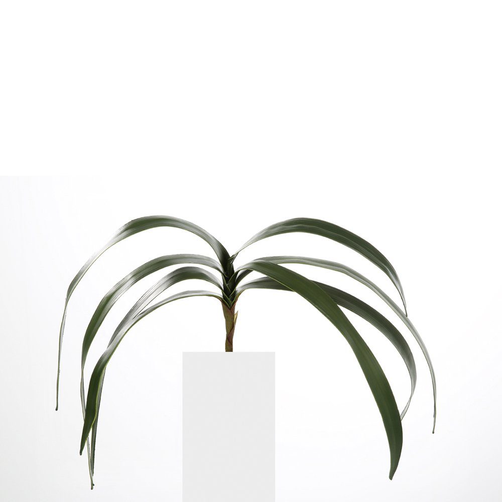 Kunstpflanze FINK Kunstblume Orchideenblätter - dunkelgrün - H. 0,8cm, Fink