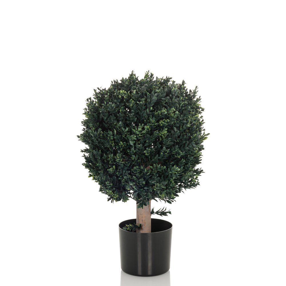 Kunstpflanze Kunstpflanze BUXUS Kunststoff Buchsbaum, hjh günstig online kaufen