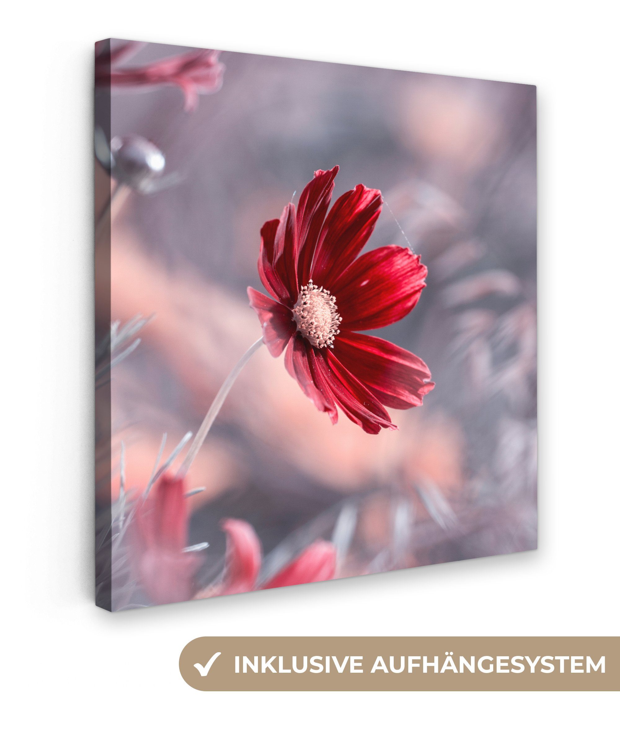 OneMillionCanvasses® Leinwandbild Blumen - Rot - Natur - Pflanzen, (1 St), Leinwand Bilder für Wohnzimmer Schlafzimmer
