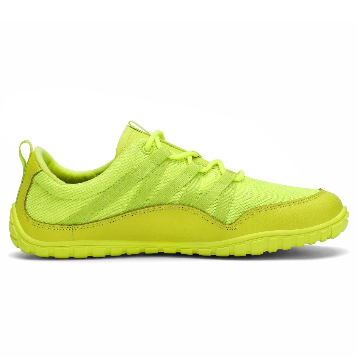 SAGUARO Saguaro Barfußschuhe Forestep I Barfußschuh