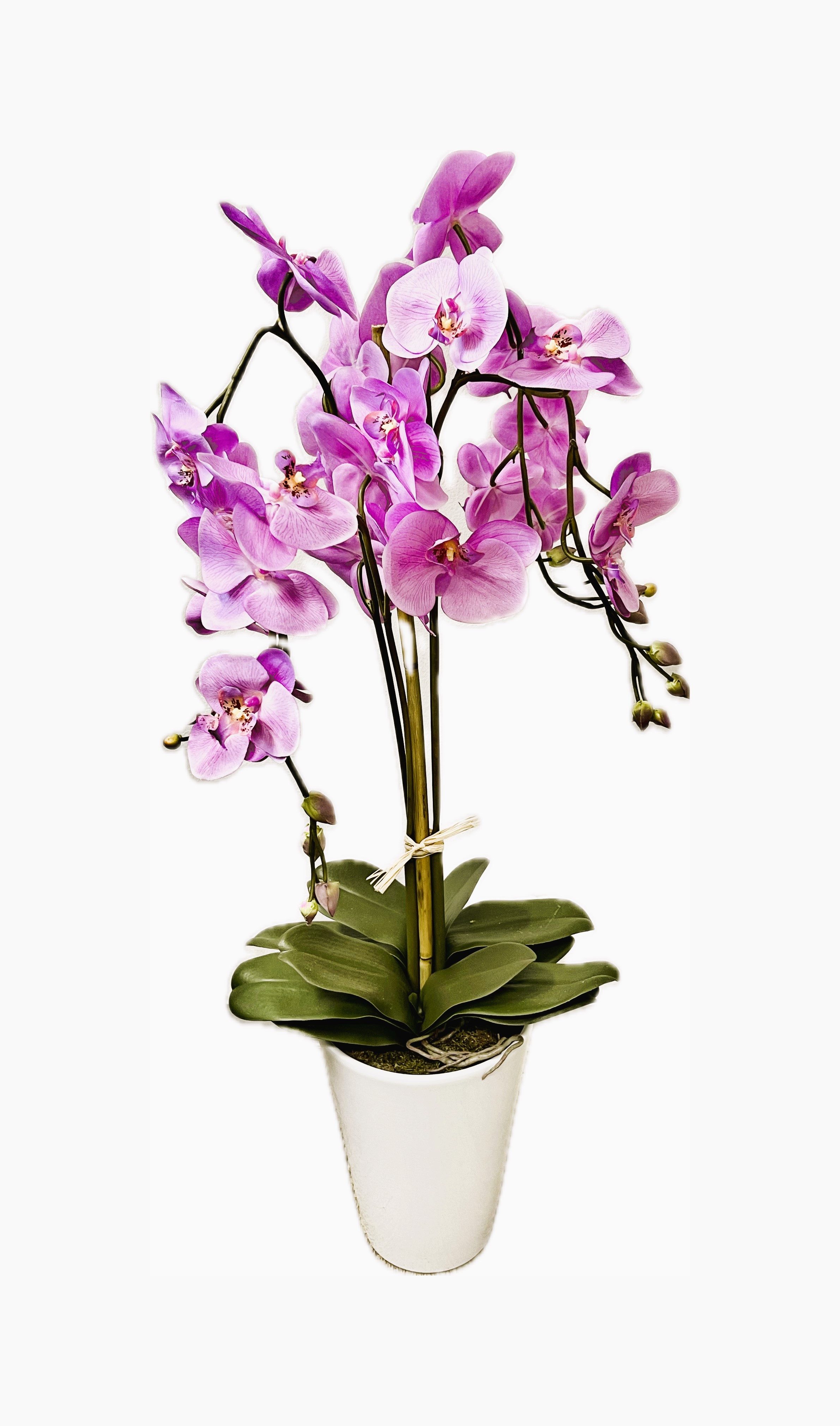 Kunstorchidee Orchidee Kunstblume künstliche Pflanzen orchideen Kunstpflanze 767 Orchideen Phalaeonopsis künstlich, PassionMade, Höhe 90 cm, Orchidee Künstlich im Topf wie echt